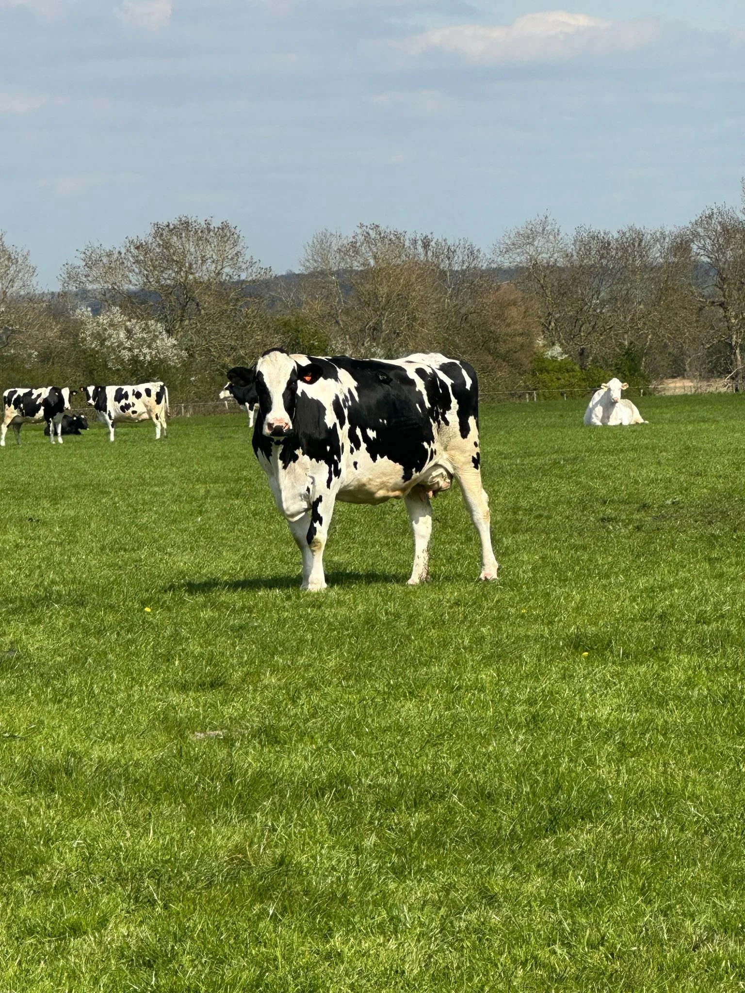 From our farms to your table..