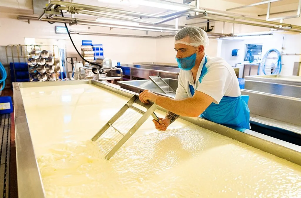 Colston Bassett Dairy - 408.jpg
