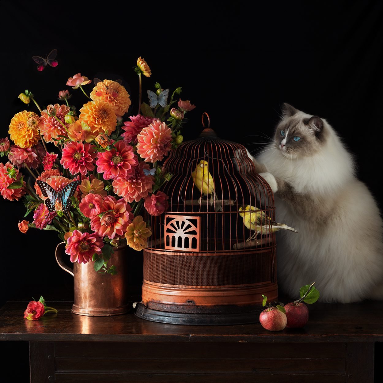 Paulette Tavormina: Breathing Life into Stillness