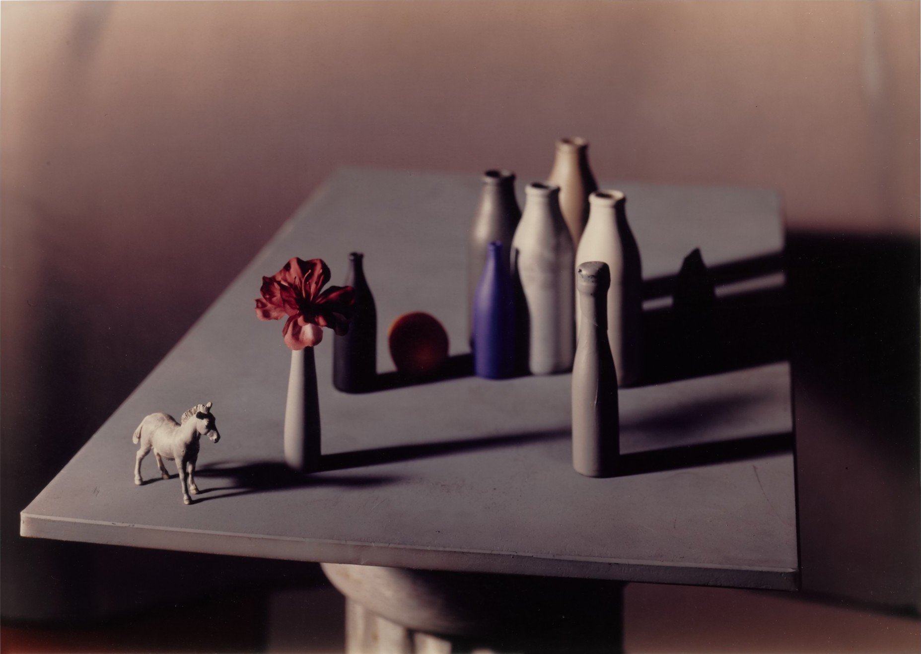 Jan Groover: Untitled (FS 41.2)