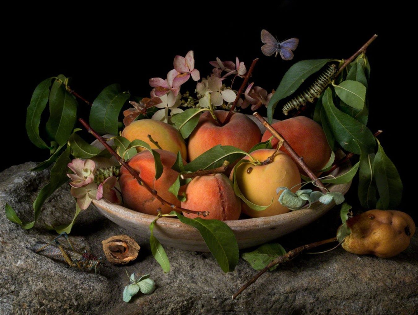 Paulette Tavormina, Peaches and Hydrangeas, After G. G., 2015