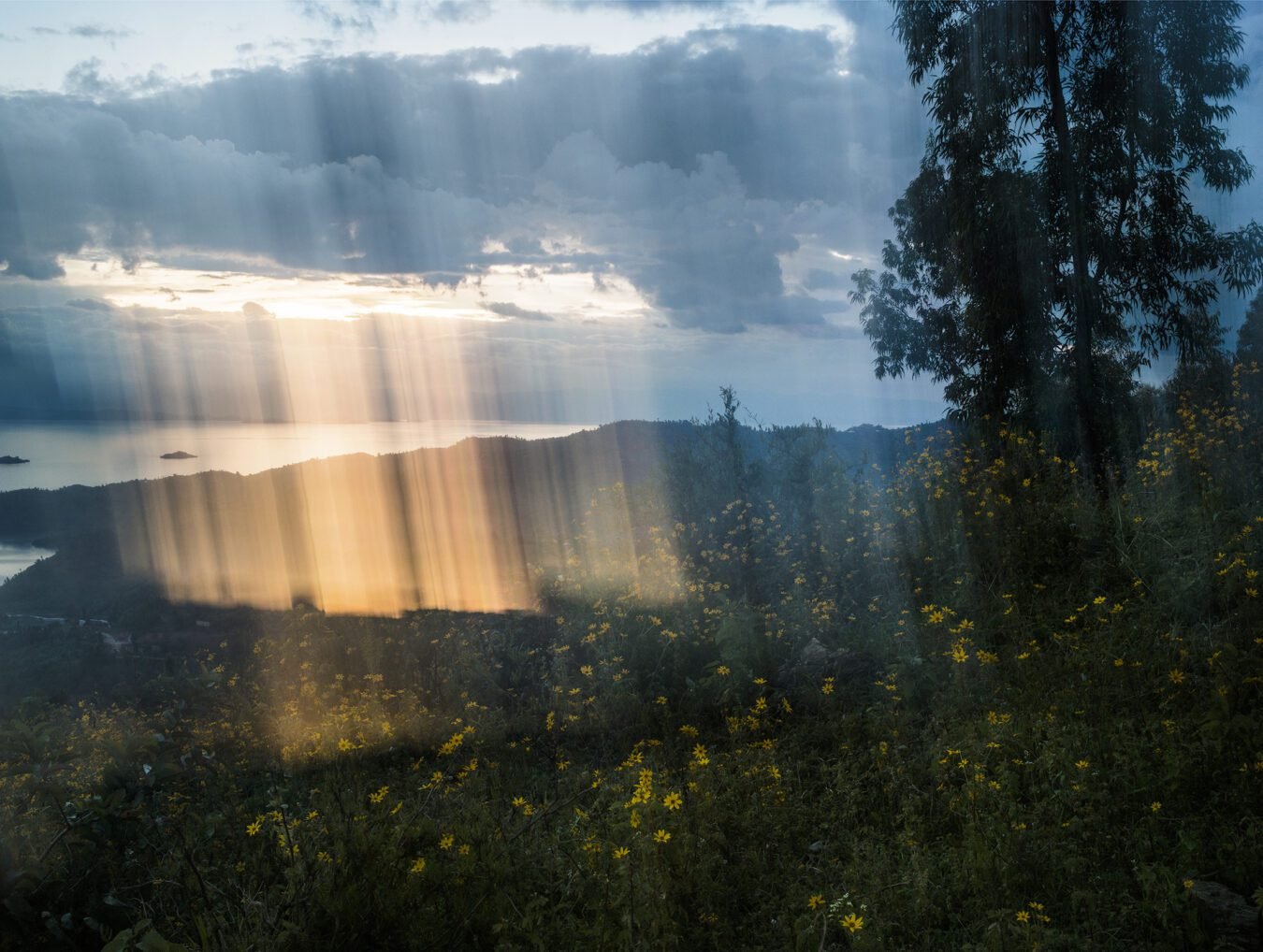 Barry Salzman, “What Was and Will Be, Rutsiro District, Rwanda”, 2018