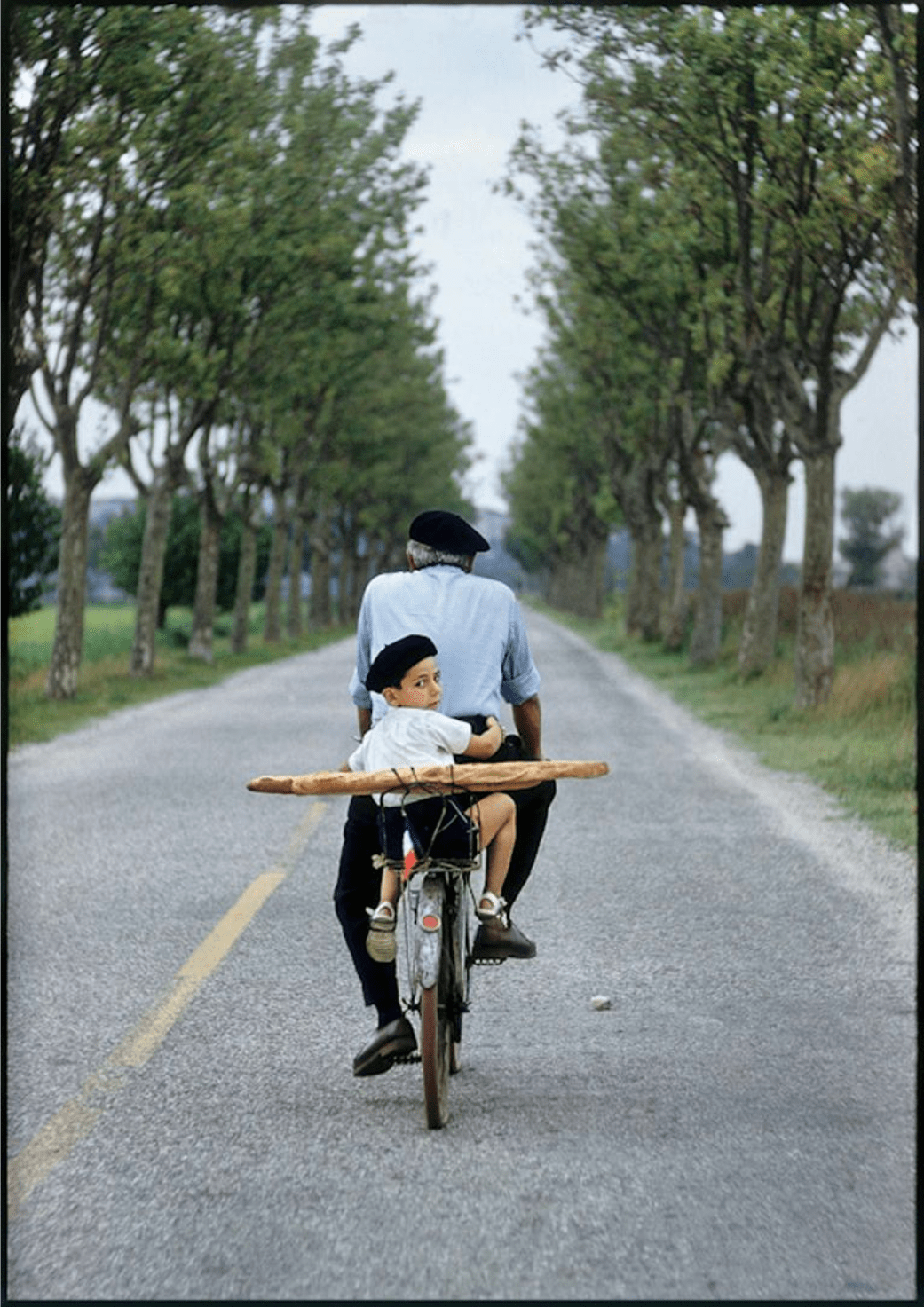 Elliott Erwitt: Provence, 1955