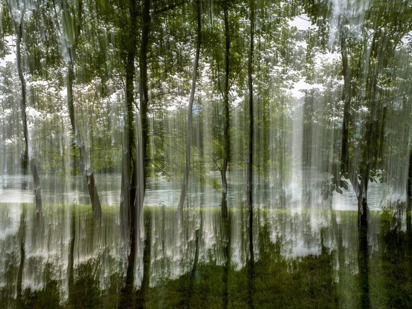 Barry Salzman, “The Language of Landscape, Drina Valley (Near Srebrenica), Bosnia and Herzegovina”, 2022
