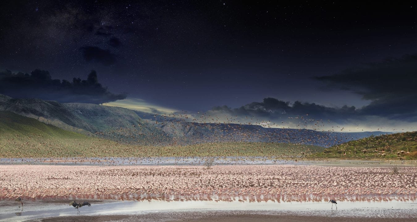 Stephen Wilkes, Flamingos, Lake Bogoria, Kenya, Day to Night