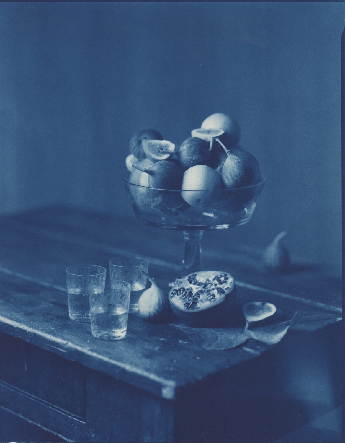 John Dugdale, Figs and Pomegranates, 1997, Cyanotype Photograph