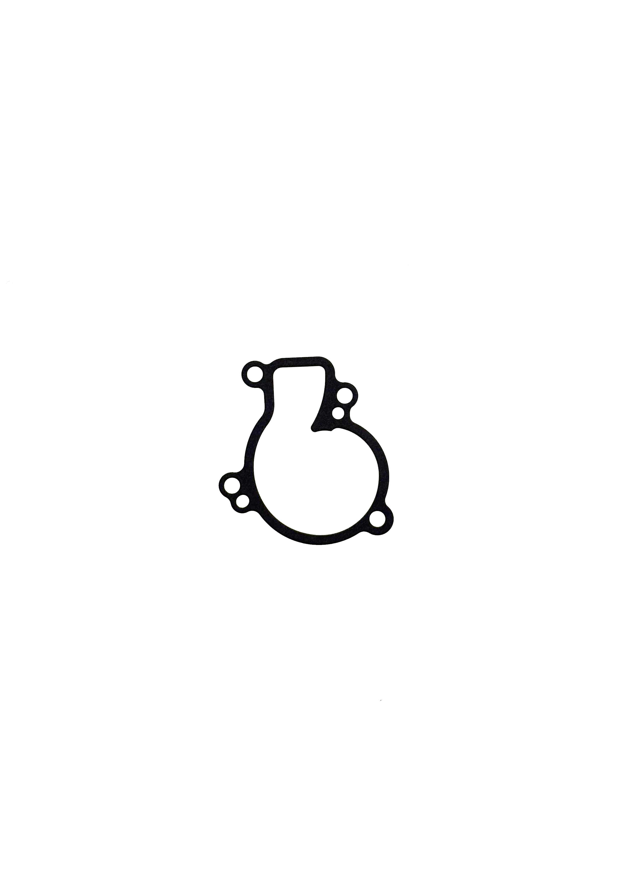 DESMO450 WATERPUMP GASKET