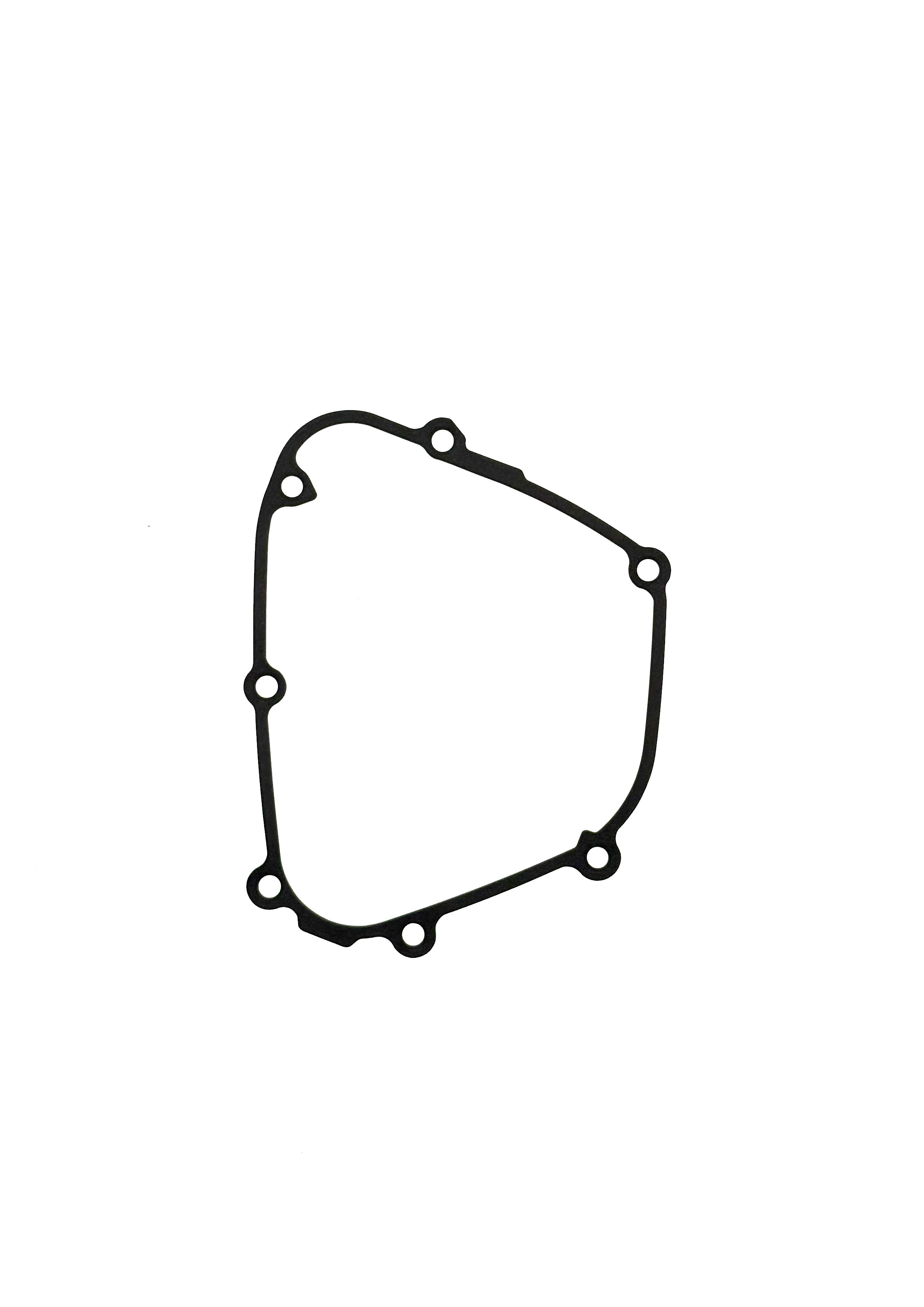 gasket 3.png
