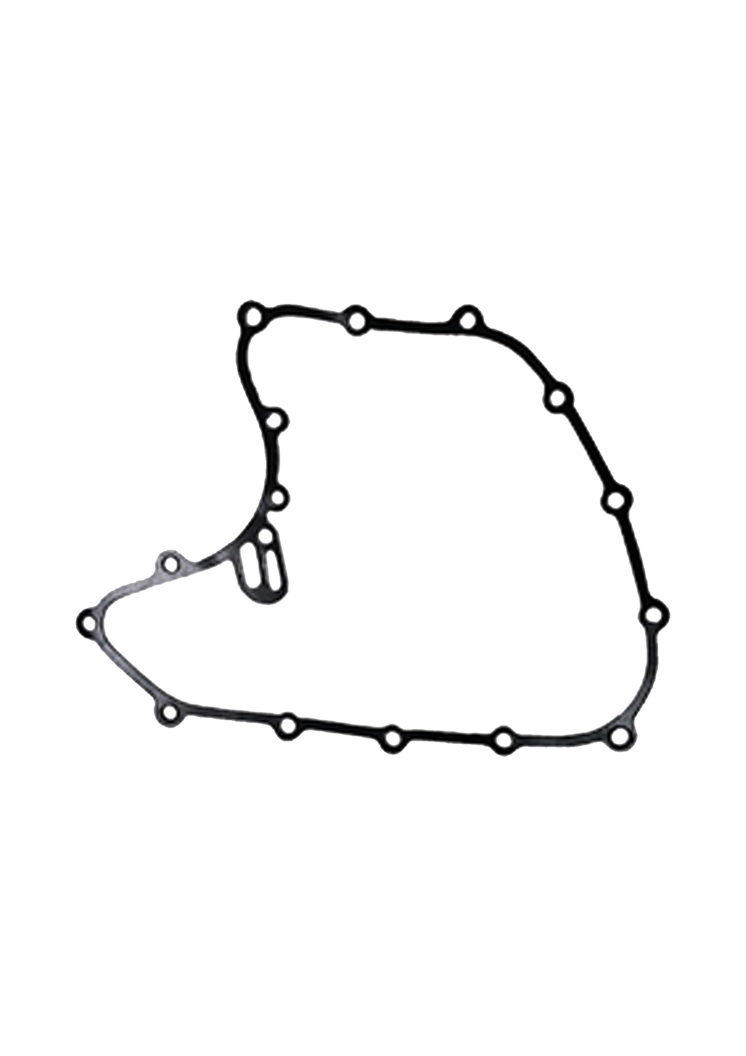 duke magnet 250.390.png