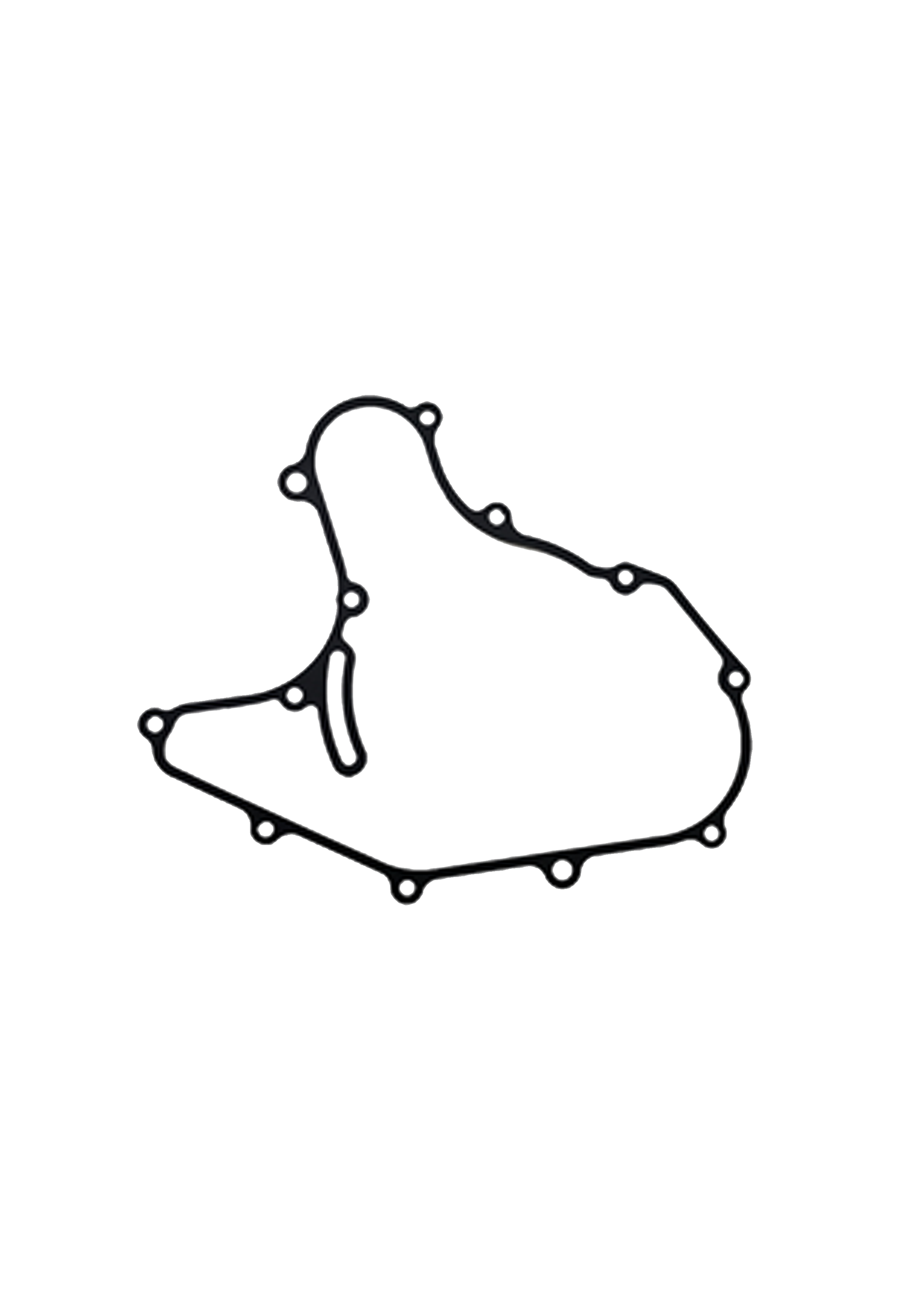 DUKE200 MAGNET GASKET