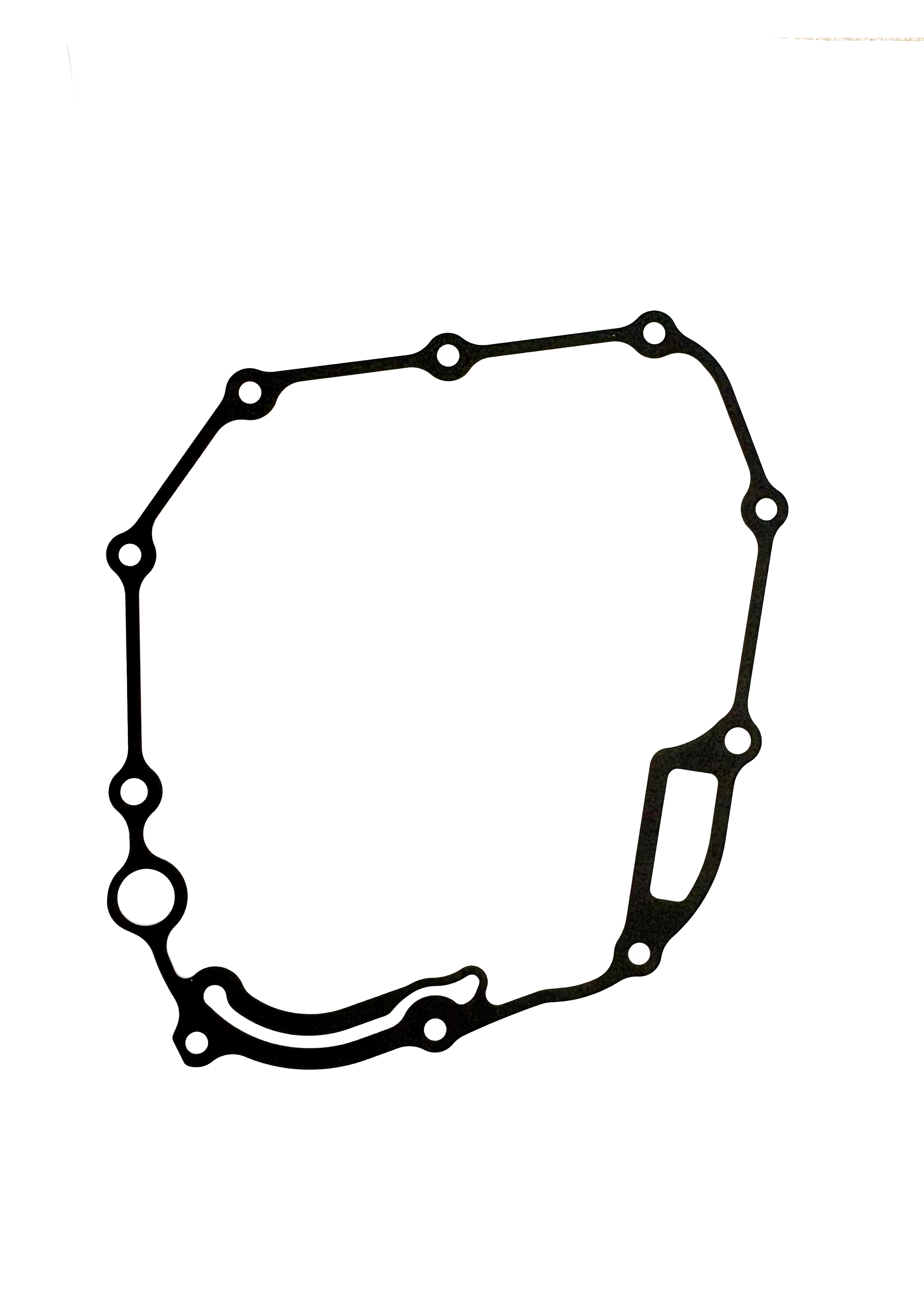 r case gasket.png