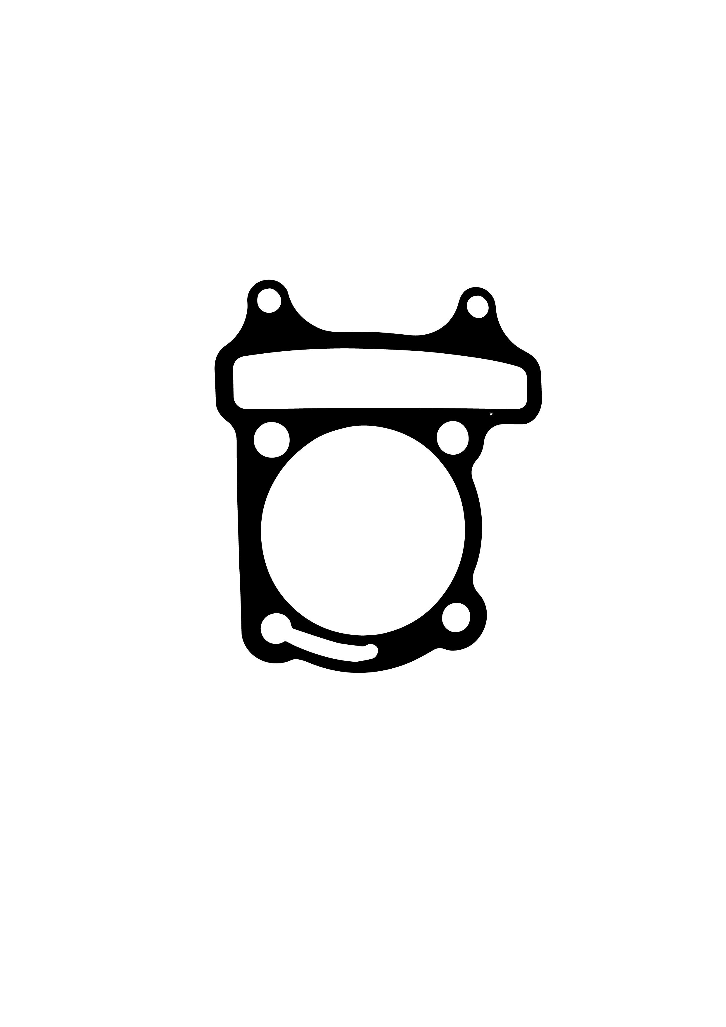 KARISMA V2 BLOCK GASKET