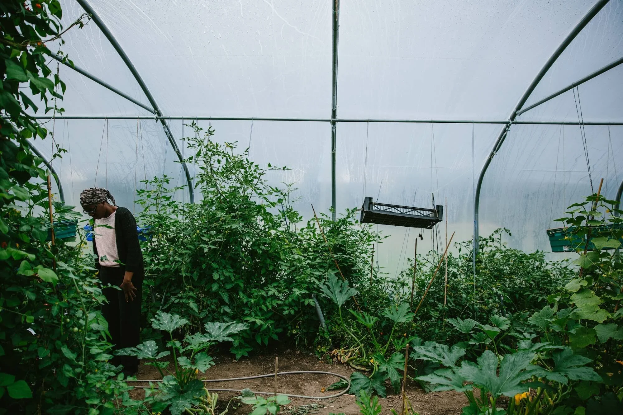 The Twins Photography Projects Comfrey Project Newcastle15.jpg