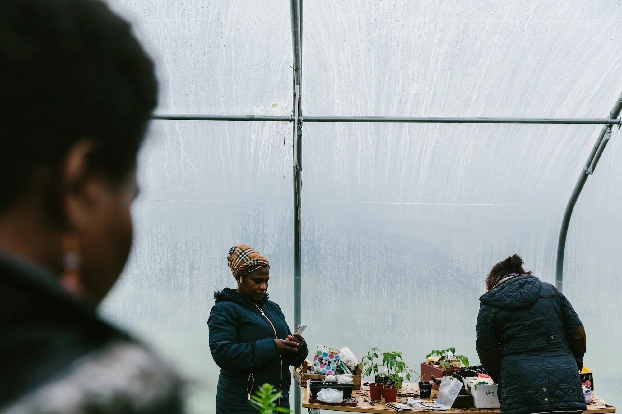 The Twins Photography Projects Comfrey Project Newcastle8.jpg