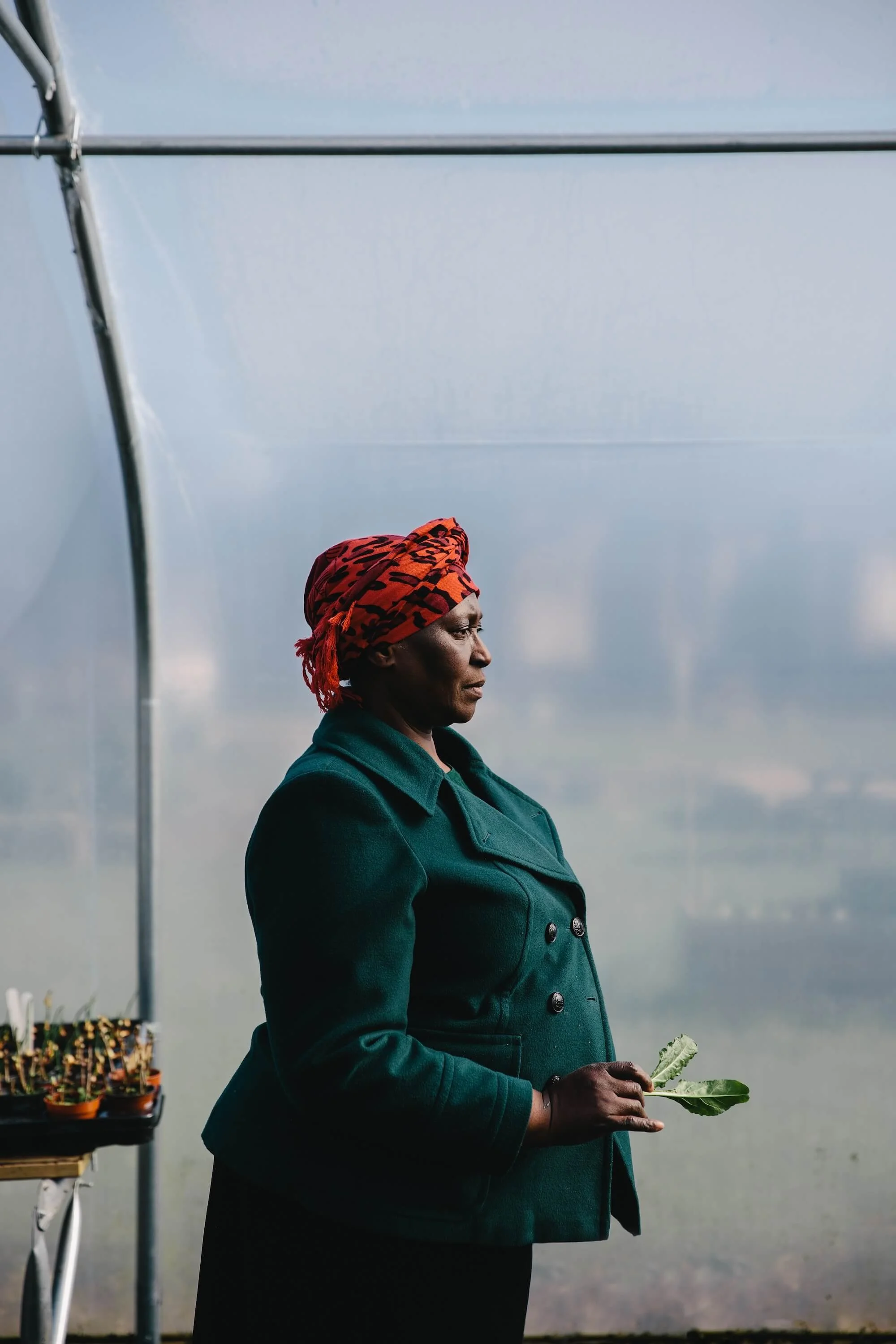 The Twins Photography Projects Comfrey Project Newcastle1.jpg