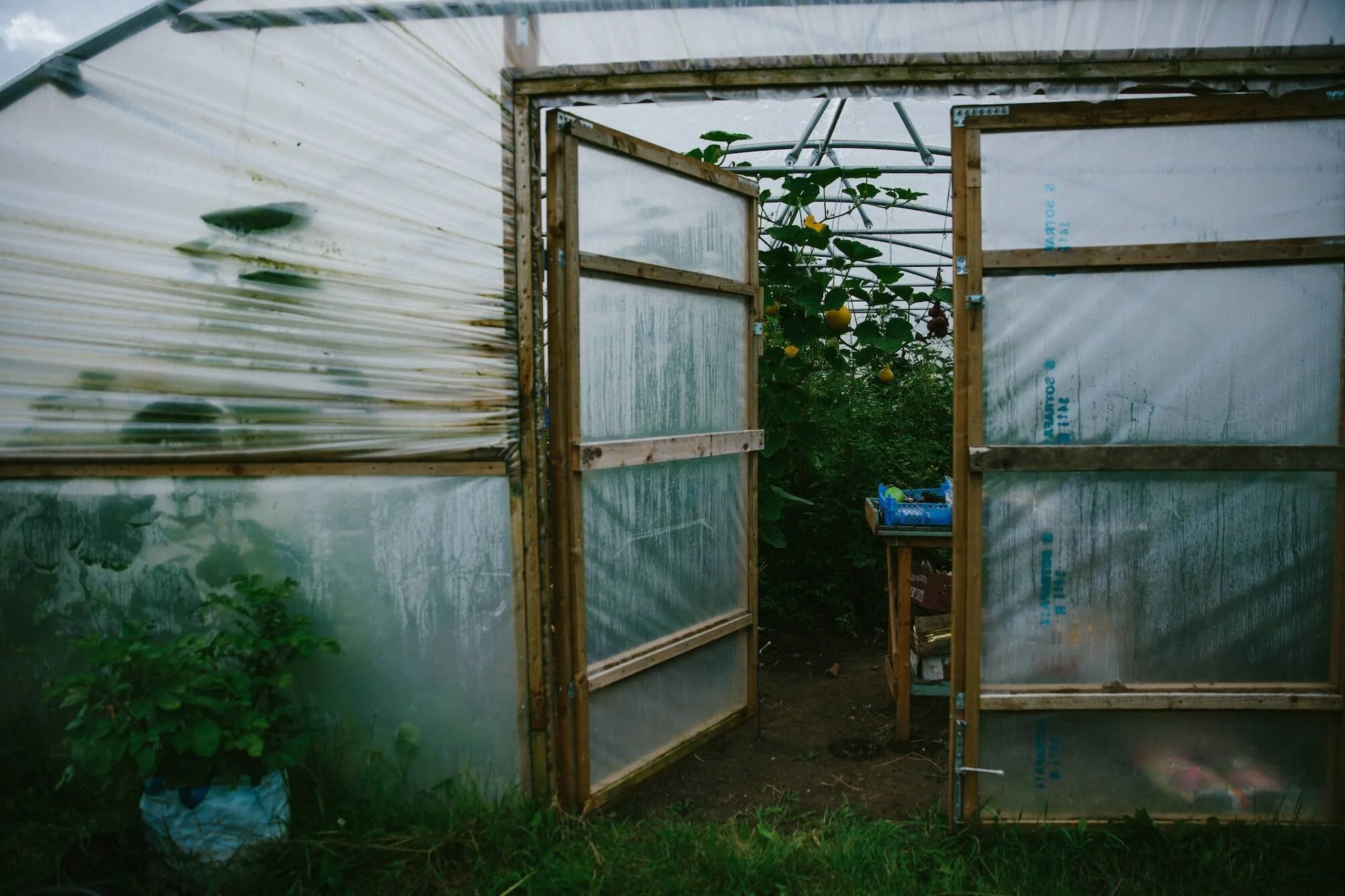 The Twins Photography Projects Comfrey Project Newcastle13.jpg