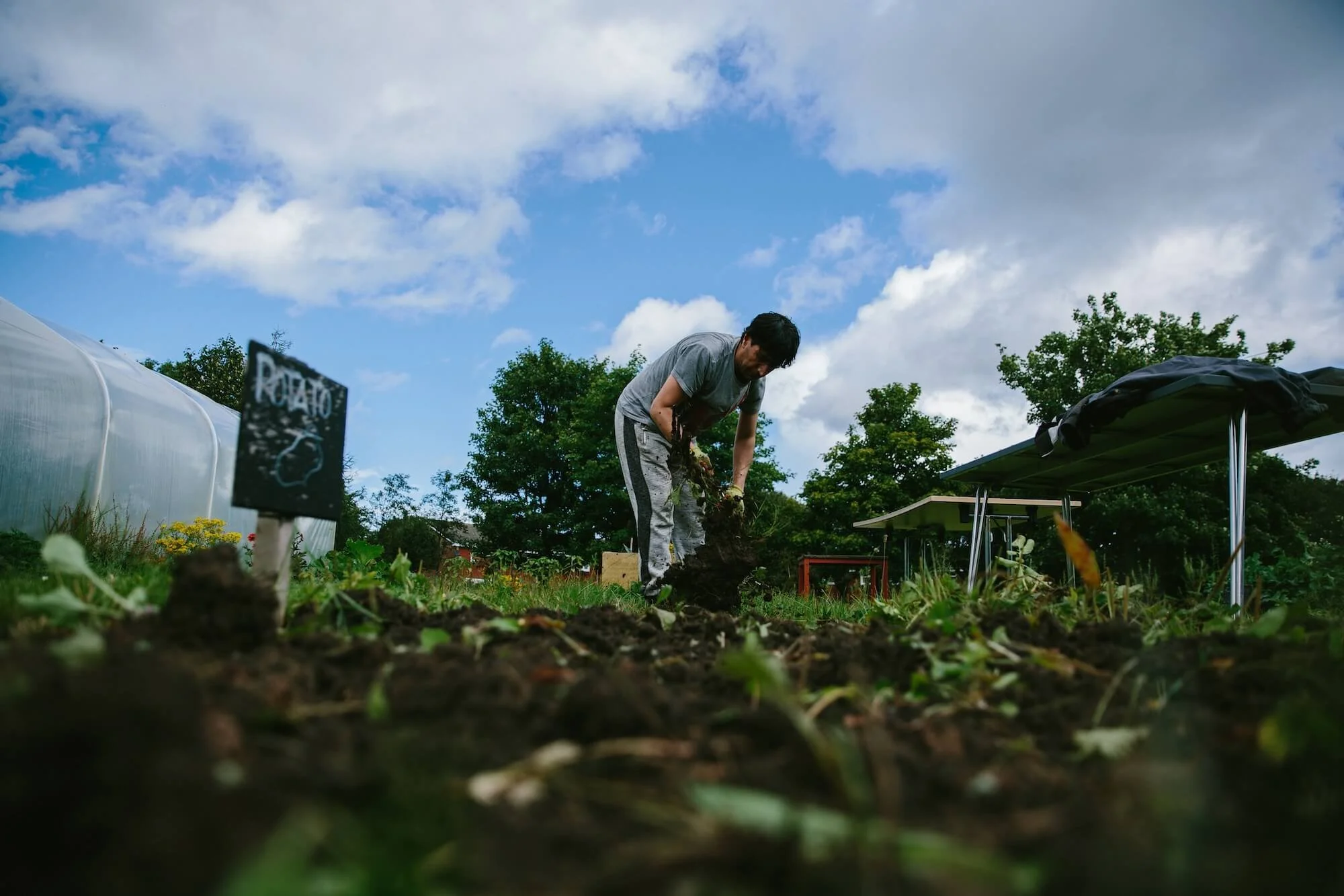 The Twins Photography Projects Comfrey Project Newcastle12.jpg
