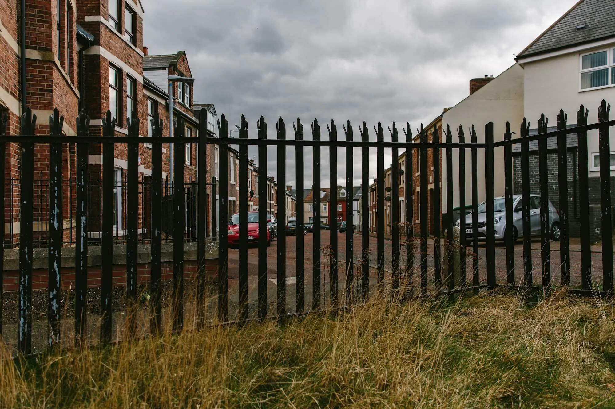 The Twins Photography Projects Comfrey Project Newcastle3.jpg