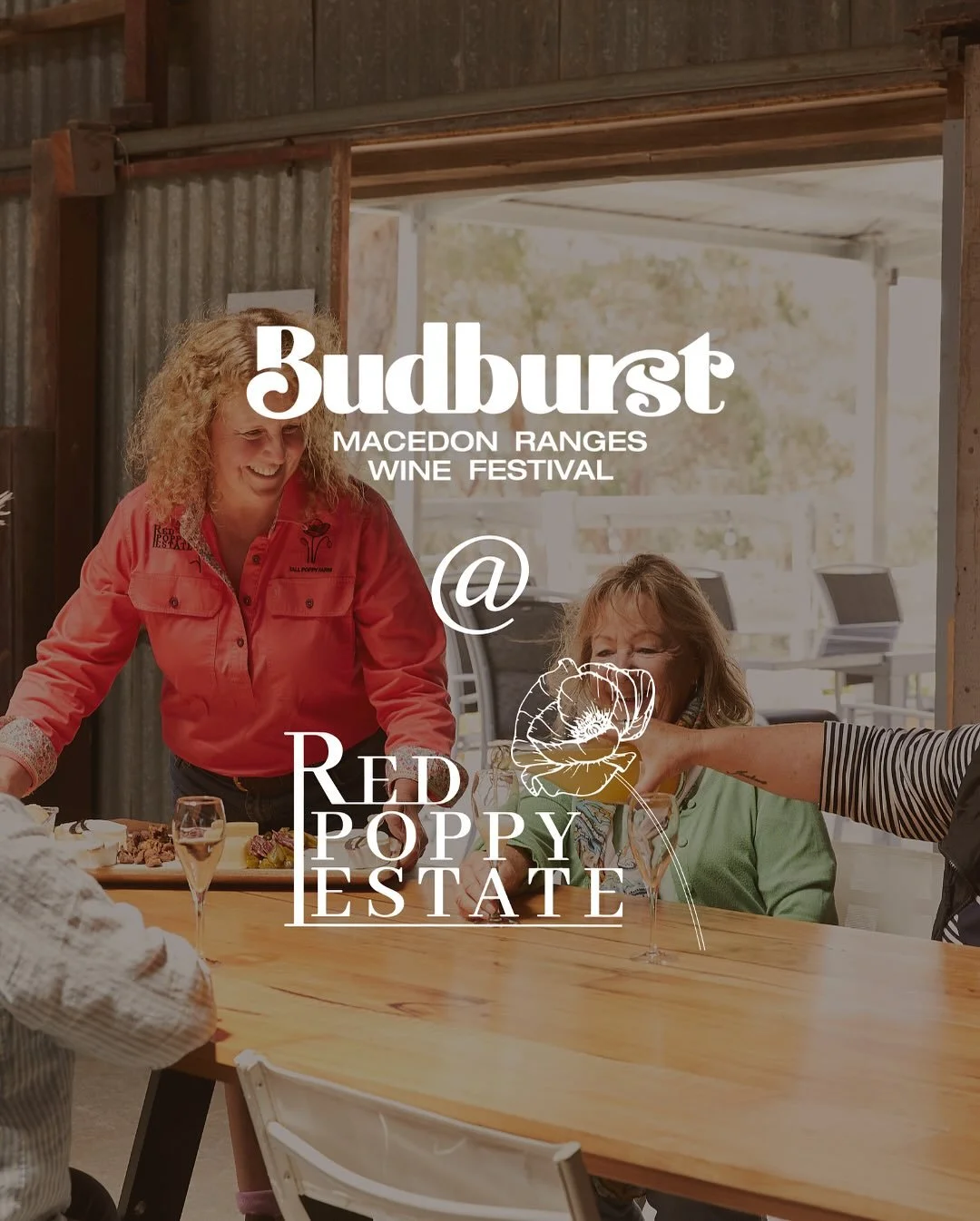 Join us Budburst weekend for lunch, wine tastings, cheese plates and more.

We will be open BOTH Saturday and Sunday (15 &amp; 16 Nov) from 10am - 5pm.

Our lunch special will be Organic Beef &amp; Whisky Pie.

Plus we&rsquo;ll be serving our usual p