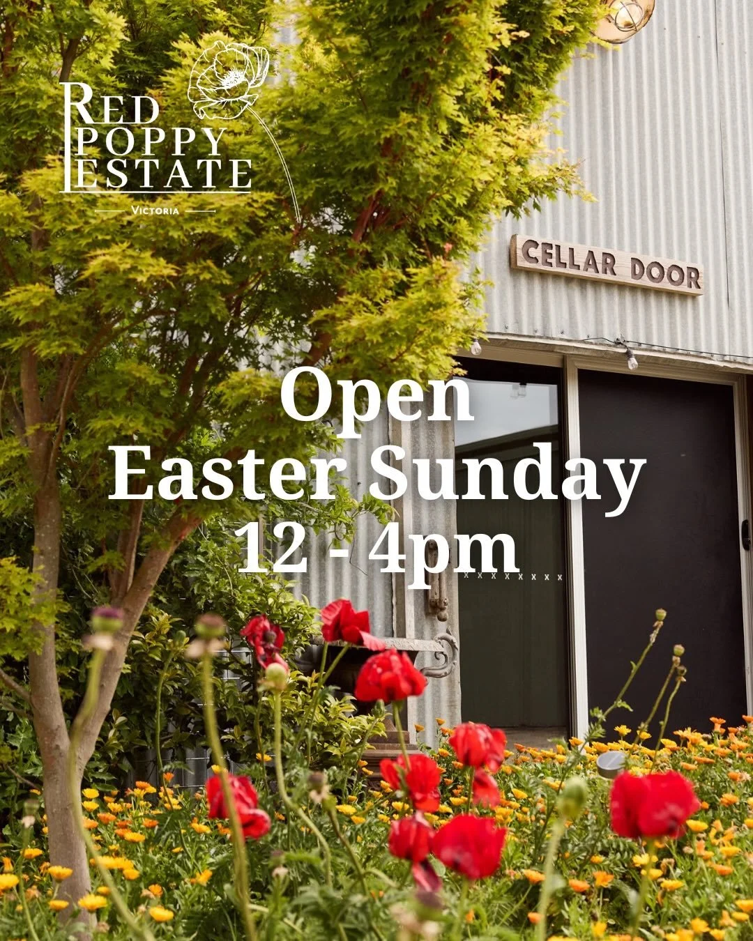 Our Cellar Door is open this Easter Sunday from 12 - 4pm for lunch, wine tasting and buying our organic and pet nat wines to take home.

You can enjoy our delicious Organic Beef &amp; Whisky Pie (as part of the @visitmacedonranges Autumn Pie Trail), 