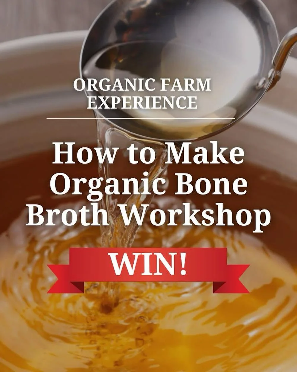 Win a ticket to our almost sold-out June Experience:

HOW TO MAKE BONE BROTH WORKSHOP,
FARM TOUR + 2-COURSE LUNCH

Enter now: 
redpoppyestate.com.au/win

Join an intimate group (10 or fewer) to learn how we make bone broth using our organic Tall Popp