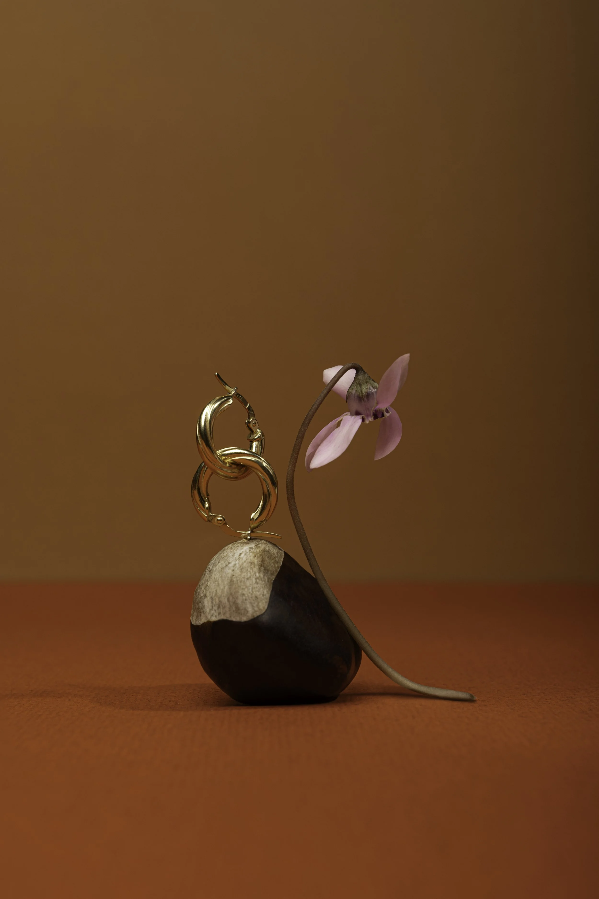 photo et set deign e-commerce de bijoux.jpg