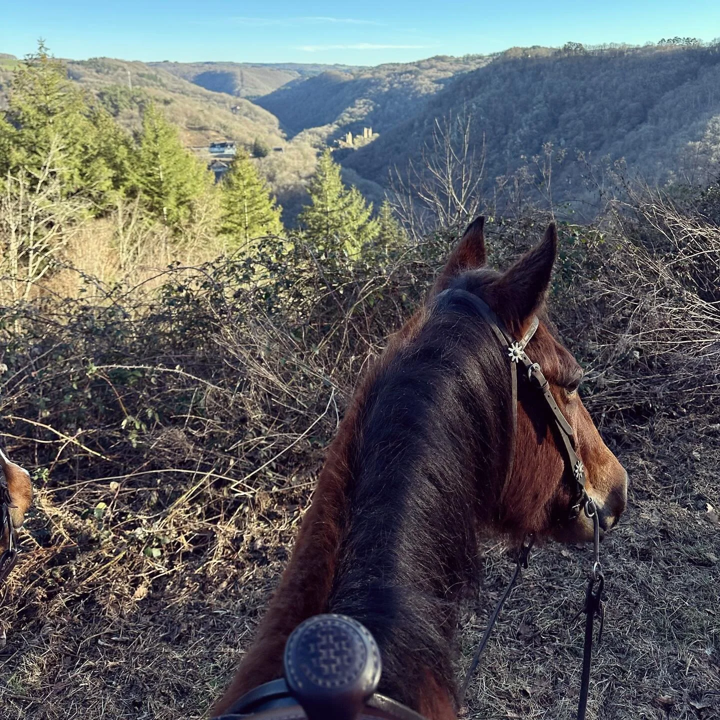 Encore une belle journée ensoleillée aux écuries, l’occasion d’aller admirer les belles Tours de Merle et de se dégourdir les jambes dans les pistes. Whizy a pu évacuer son trop plein d’éner