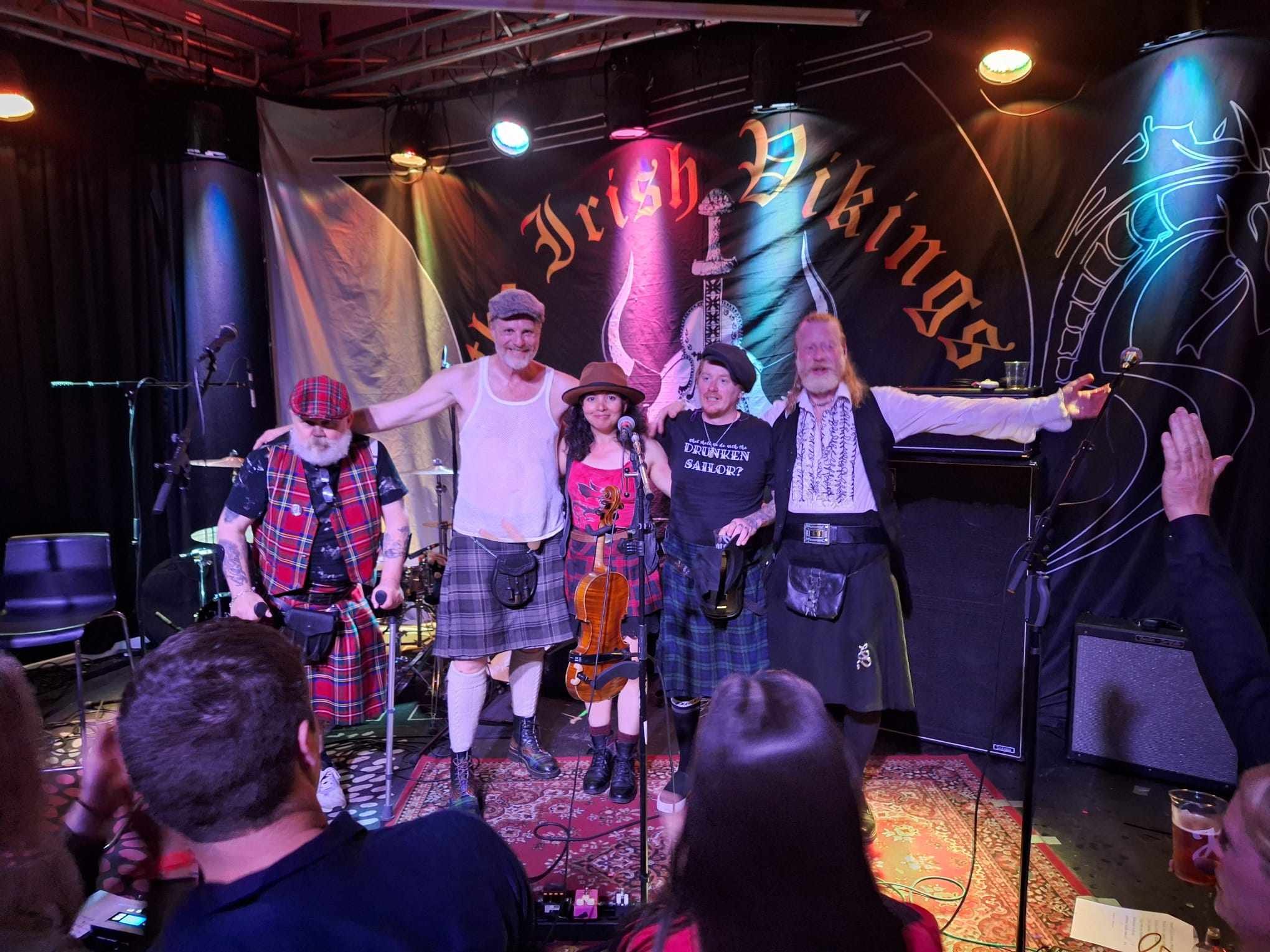 The Irish Vikings