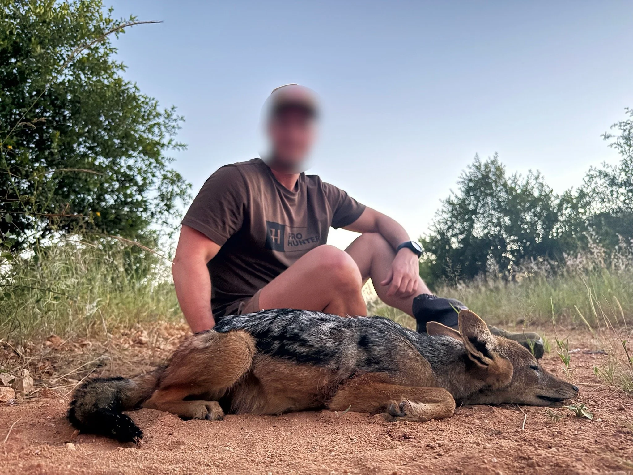 A man sits on the ground next to a sleeping young pig on a dirt path surrounded by foliage and trees, with a clear blue sky overhead.
