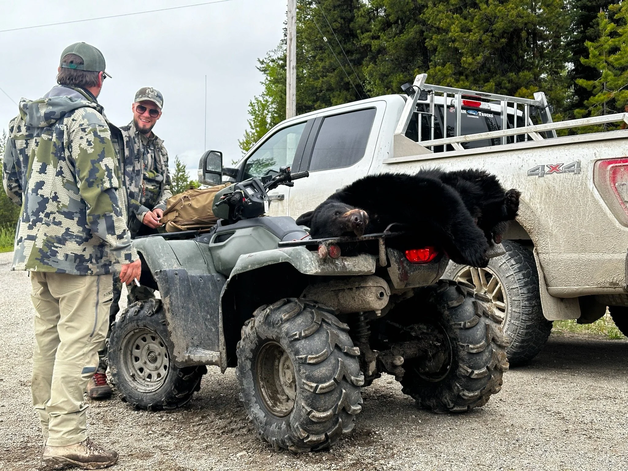 Three men in camouflage outdoor jackets and hats standing next to a quad bike, with a large black bear lying on the back of a pickup truck, resting its head on the tailgate and looking at the camera.