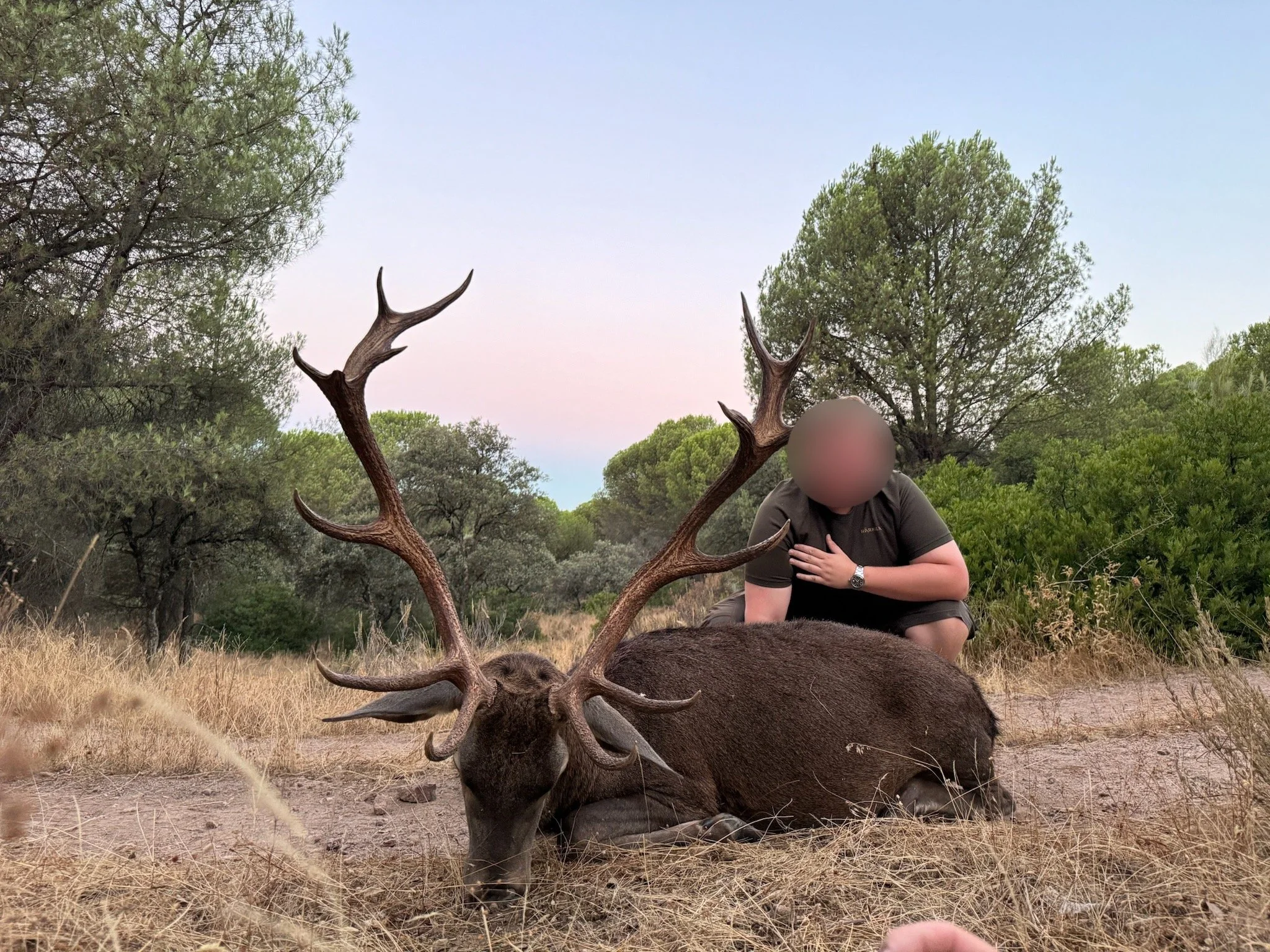 A person crouching next to a large, dead buck with extensive antlers in a dry, grassy field surrounded by trees.