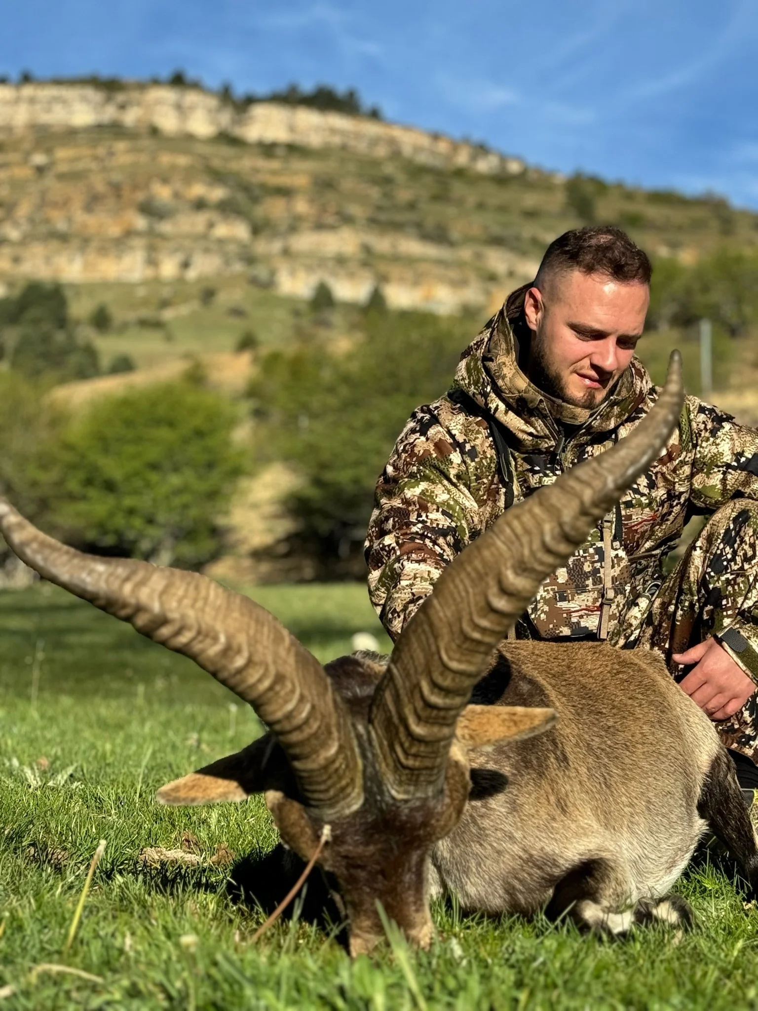 A man in camouflage clothing kneeling next to a large antelope with curved horns grazing on grass in a green outdoor setting with hills and trees in the background under a blue sky.