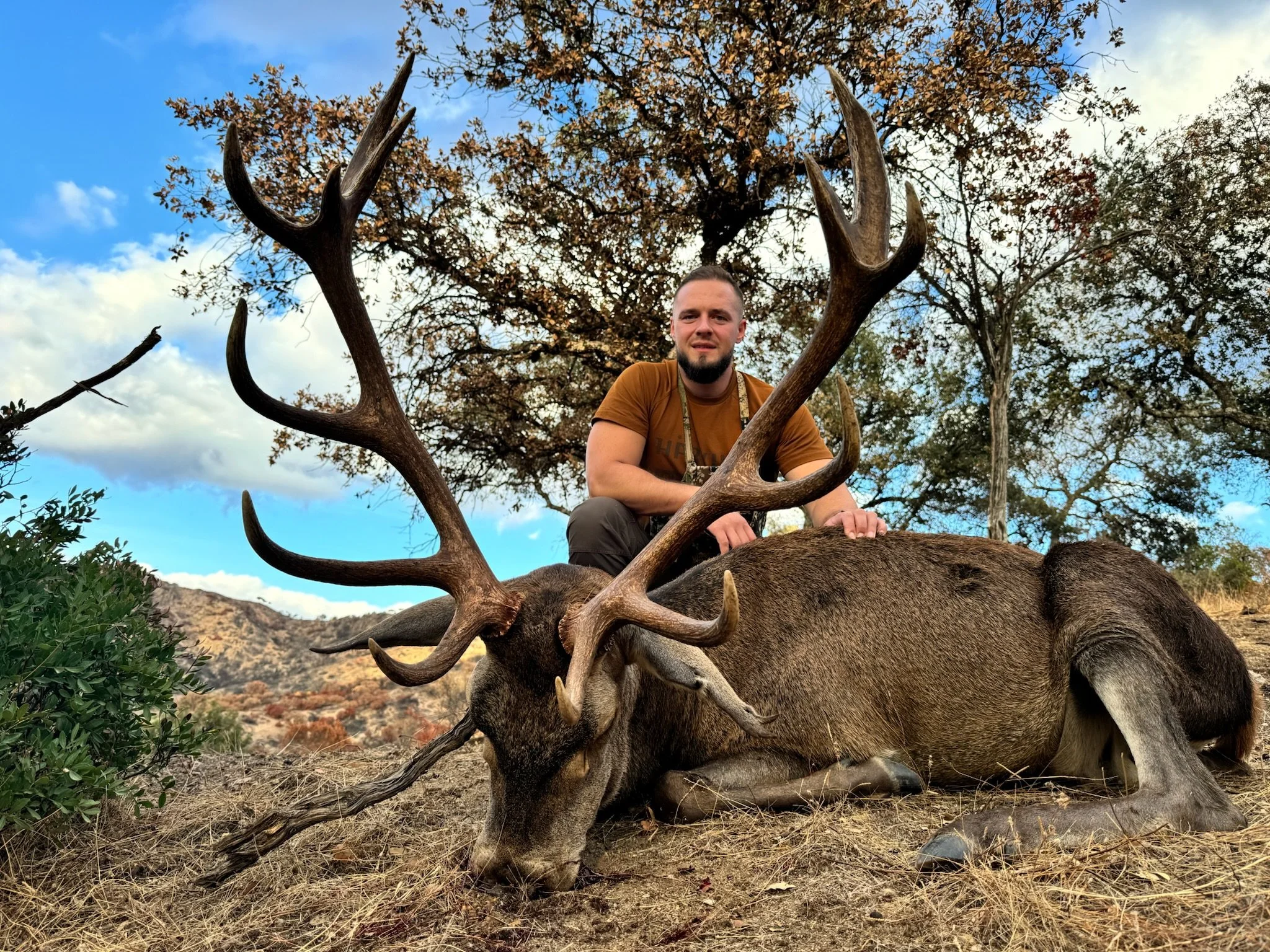 A man crouching behind a large, dead elk with impressive antlers, outdoors in a mountainous area with trees and a partly cloudy sky in the background.