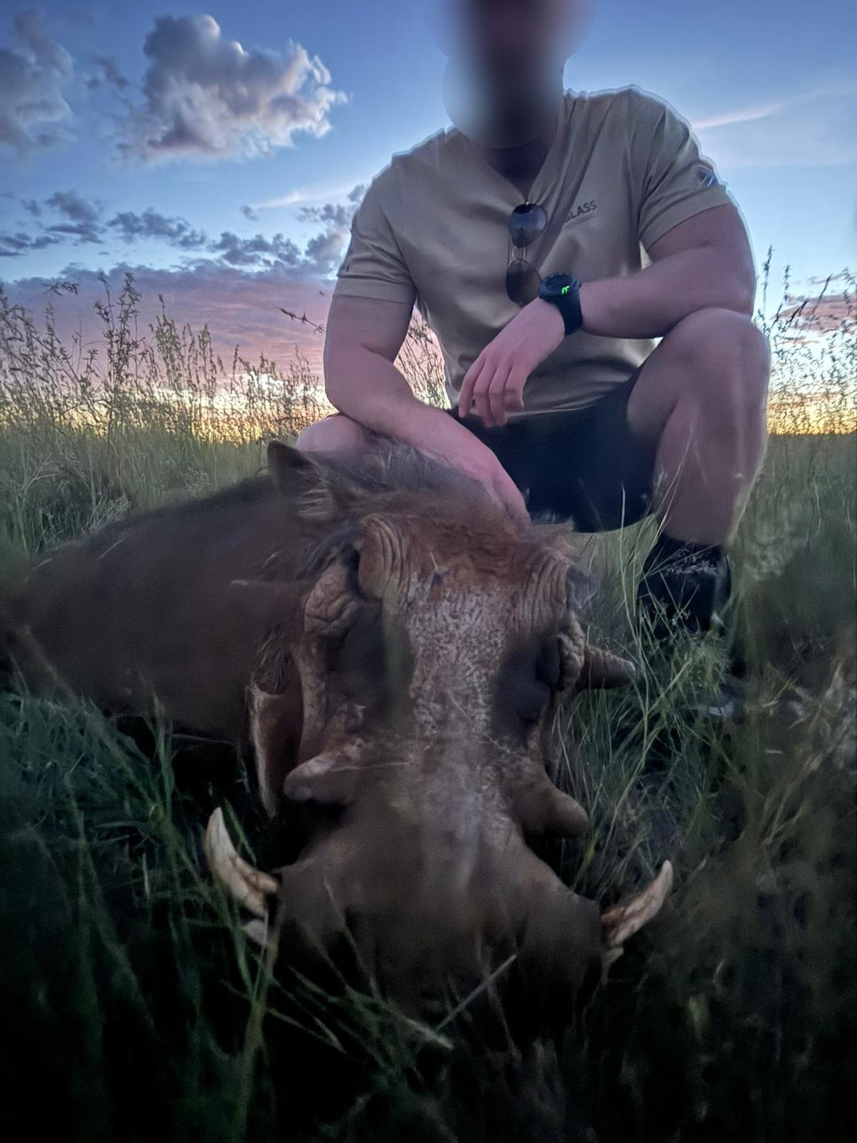 A man kneeling in tall grass at sunset or dusk, with a large dead animal, possibly a wild boar, lying in front of him. The man is wearing a beige T-shirt, shorts, and a watch, with sunglasses hanging from his shirt collar. His face is blurred or obsc