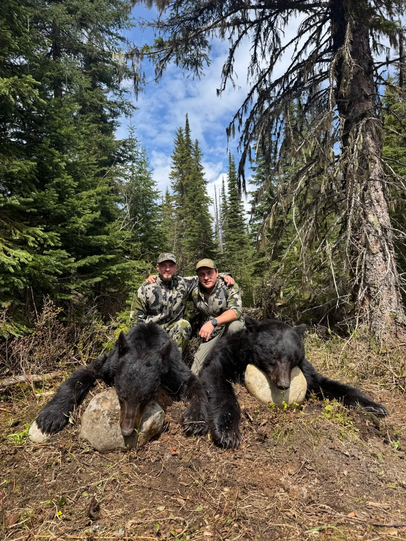 Two hunters in camouflage clothing kneeling in a forested area surrounded by tall evergreen trees, posing with two large black bears that are lying down with their heads resting on rocks.