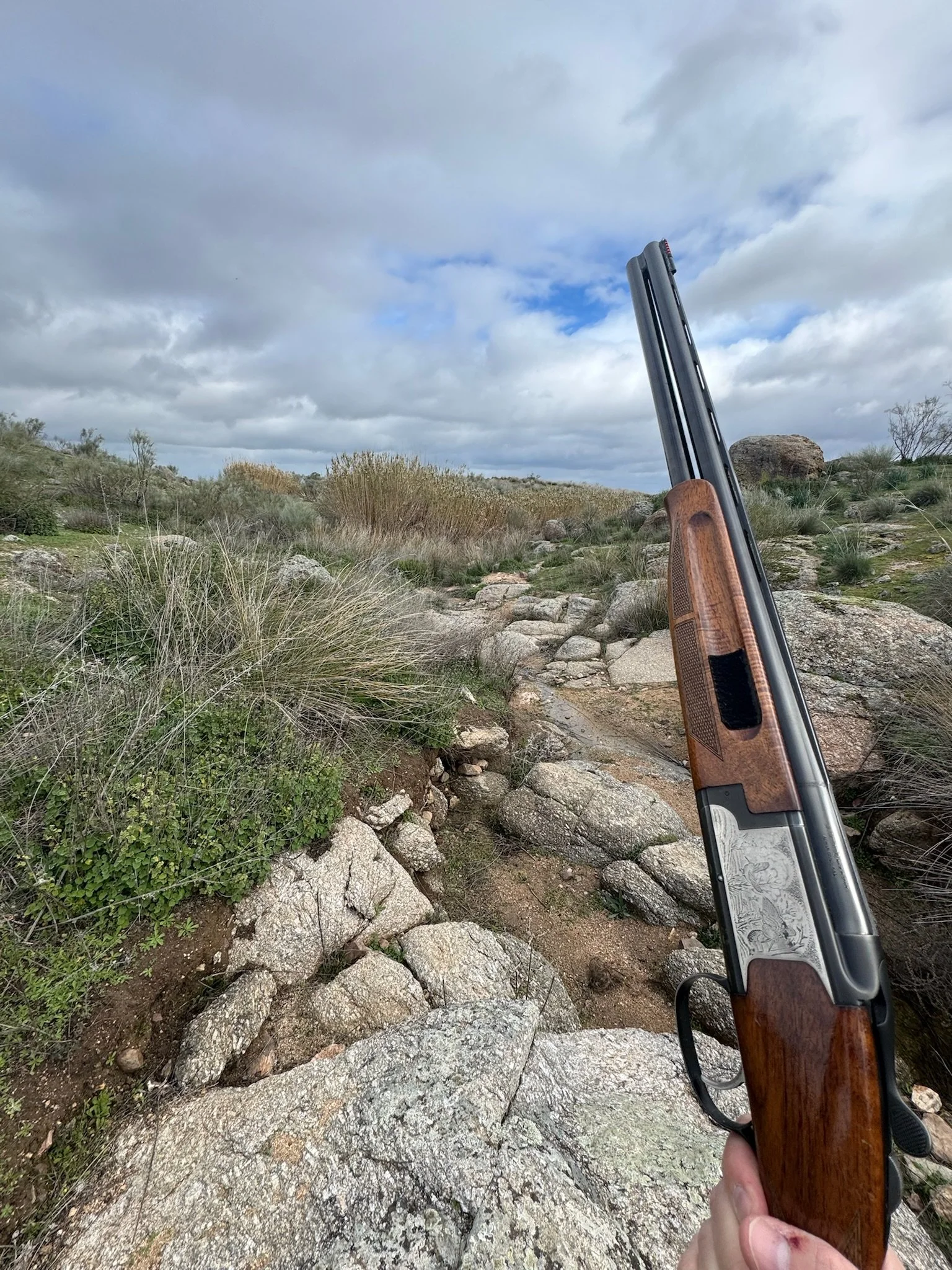 A person's hand holding a shotgun with a wooden stock and detailed metal engravings, pointed upwards in a rocky outdoor landscape with bushes and a cloudy sky.
