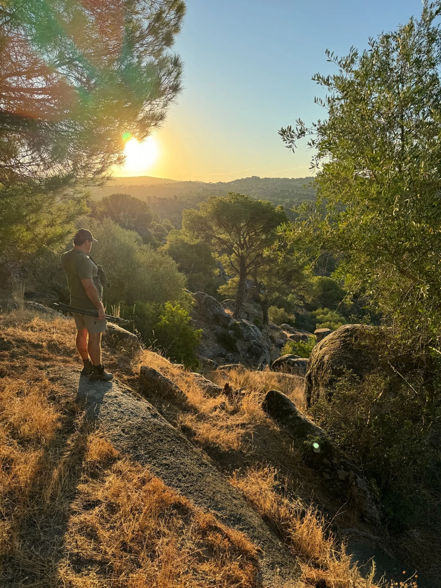 A person standing on a large rock in a forested hillside during sunset, holding a walking stick, with trees and rolling hills in the background.