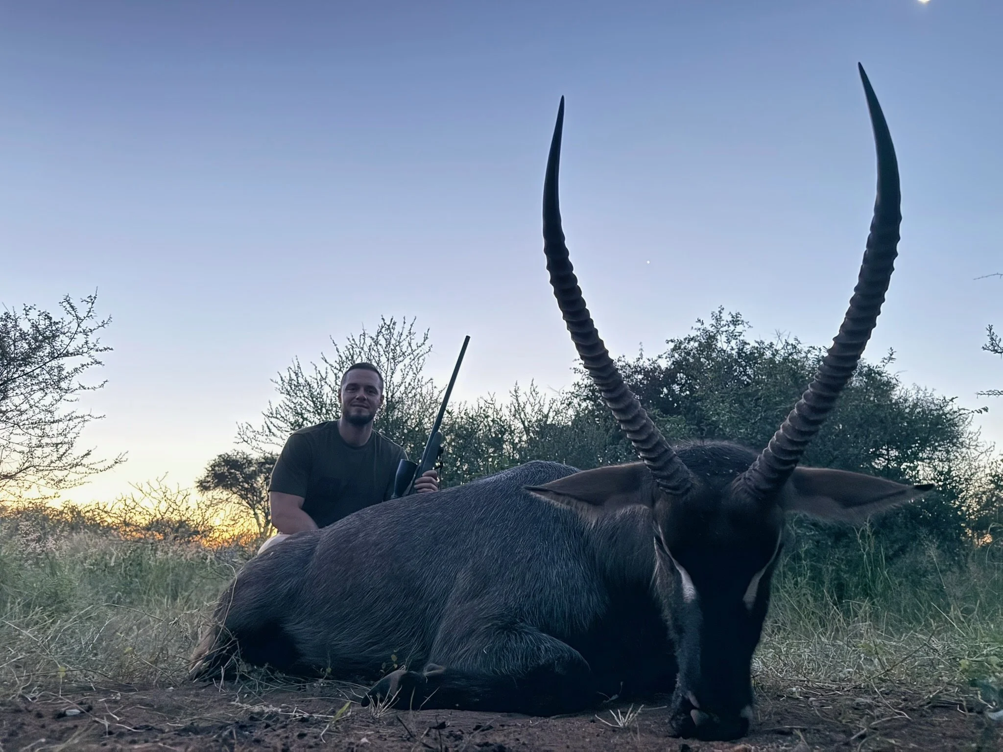 A man sitting on the ground holding a rifle next to a large dead antelope with long curved horns, outdoors during sunset with trees and a clear sky in the background.