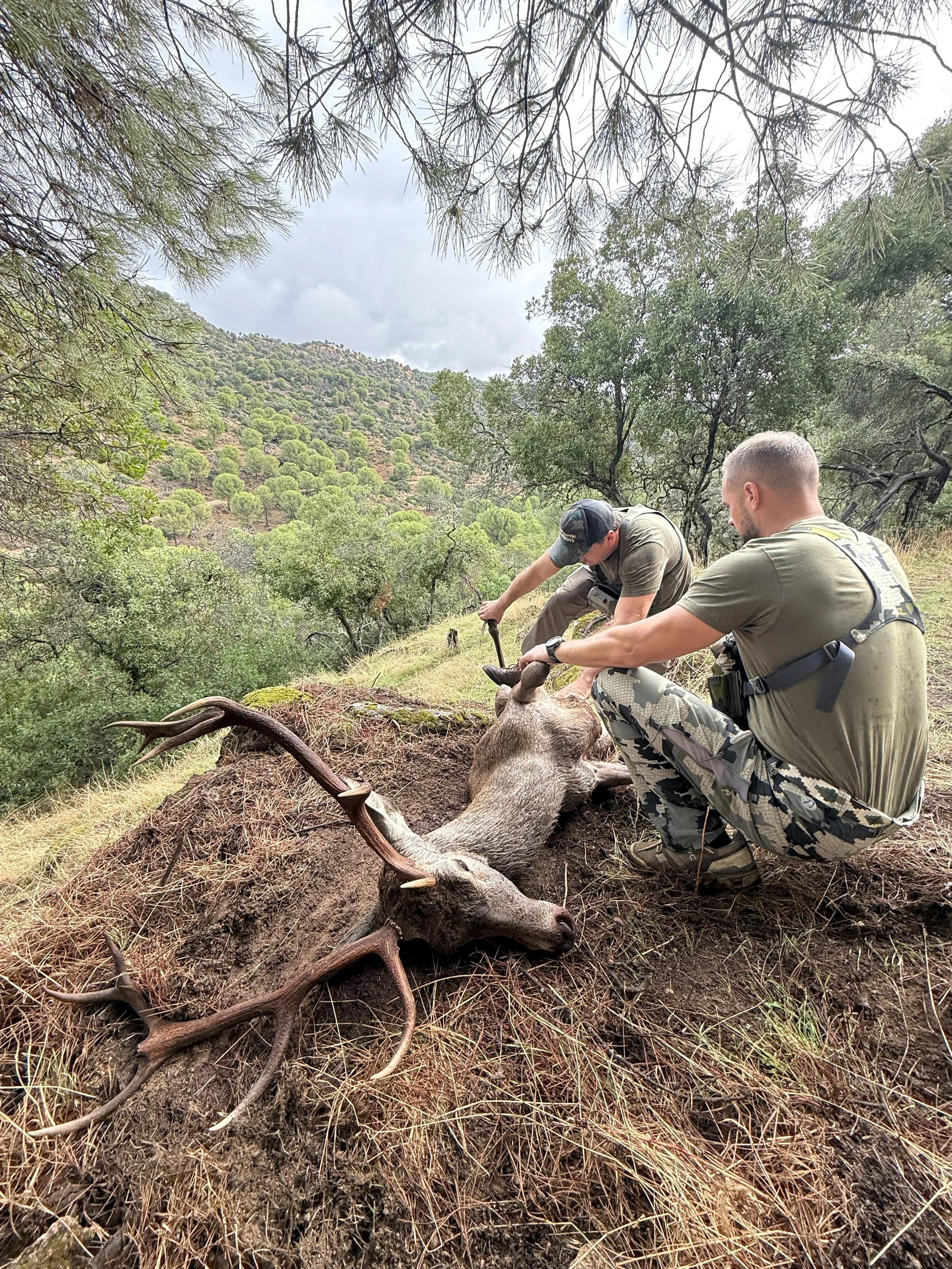 Two hunters are posing with a deceased deer that has antlers, on a hillside with trees and forested hills in the background.