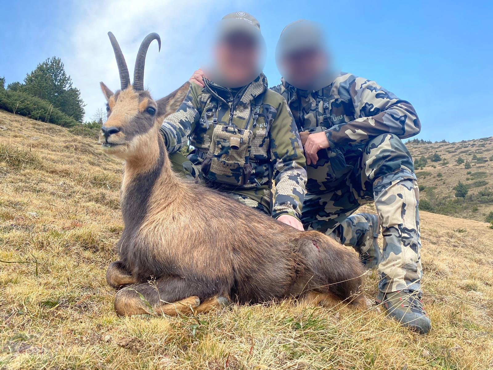 Two hunters in camouflage clothing kneeling on a grassy hillside with an antelope they have hunted, which has two curved horns, and a light brown and dark brown coat.
