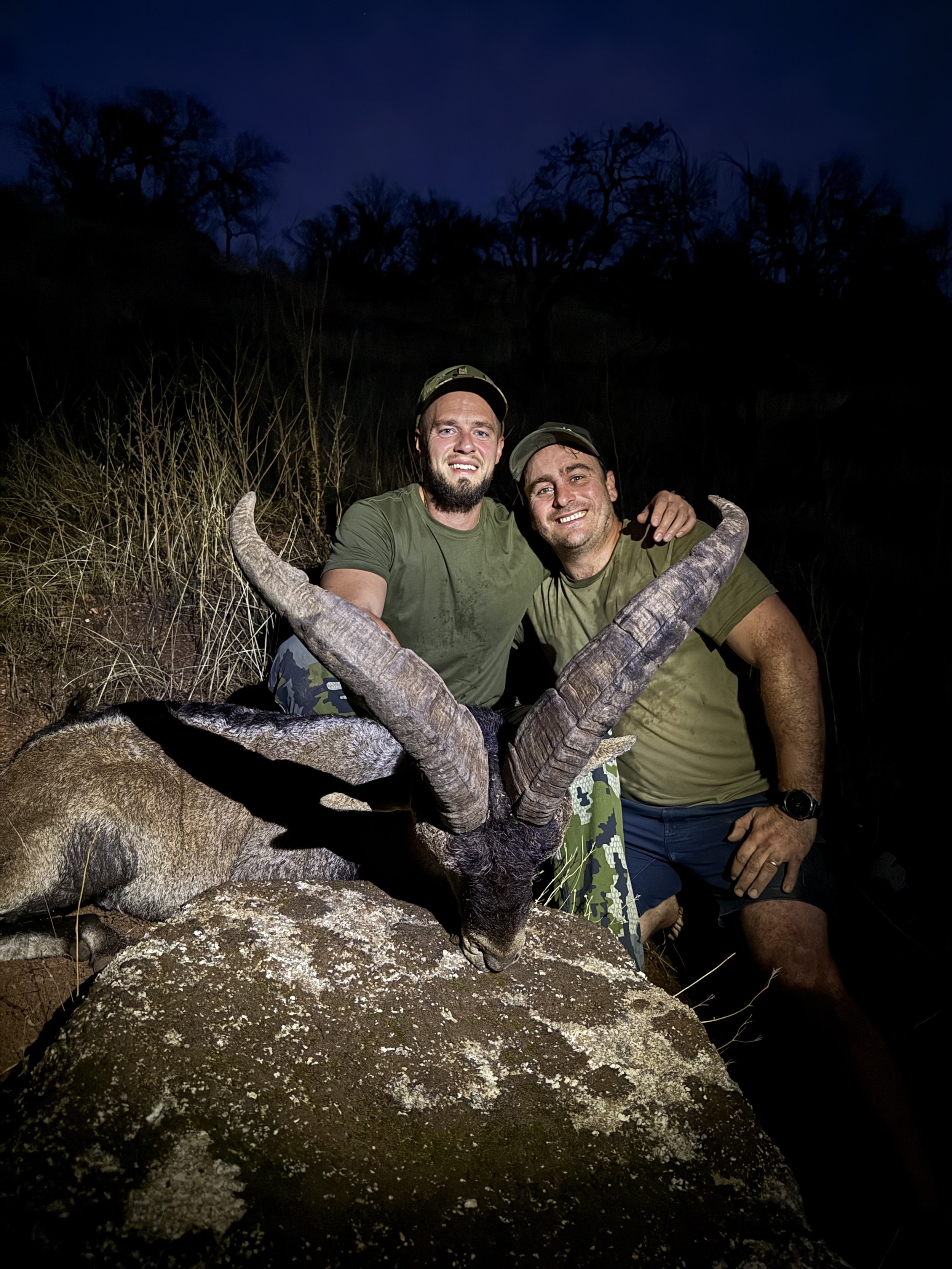 Two men posing with a large mountain goat they hunted at night outdoors.