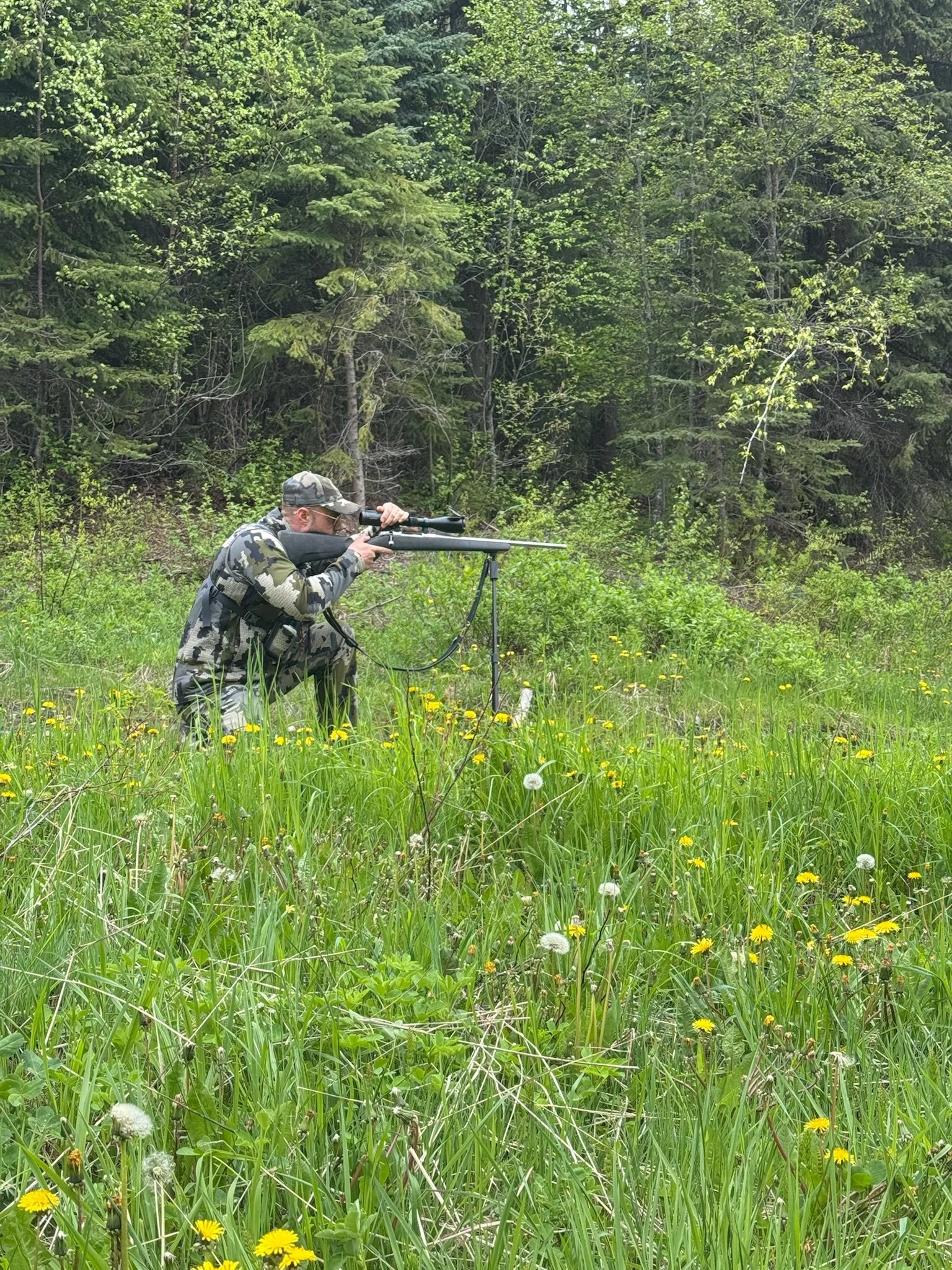 A man in camouflage clothing kneels in a grassy field with yellow wildflowers, aiming a scoped rifle mounted on a bipod towards a wooded area.