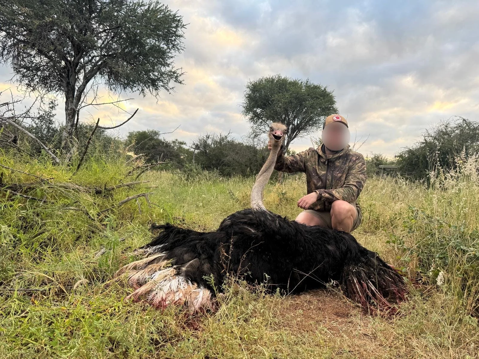Person kneeling in grassy field, holding a dead ostrich with blood on its feathers, in a savannah landscape with trees and cloudy sky.
