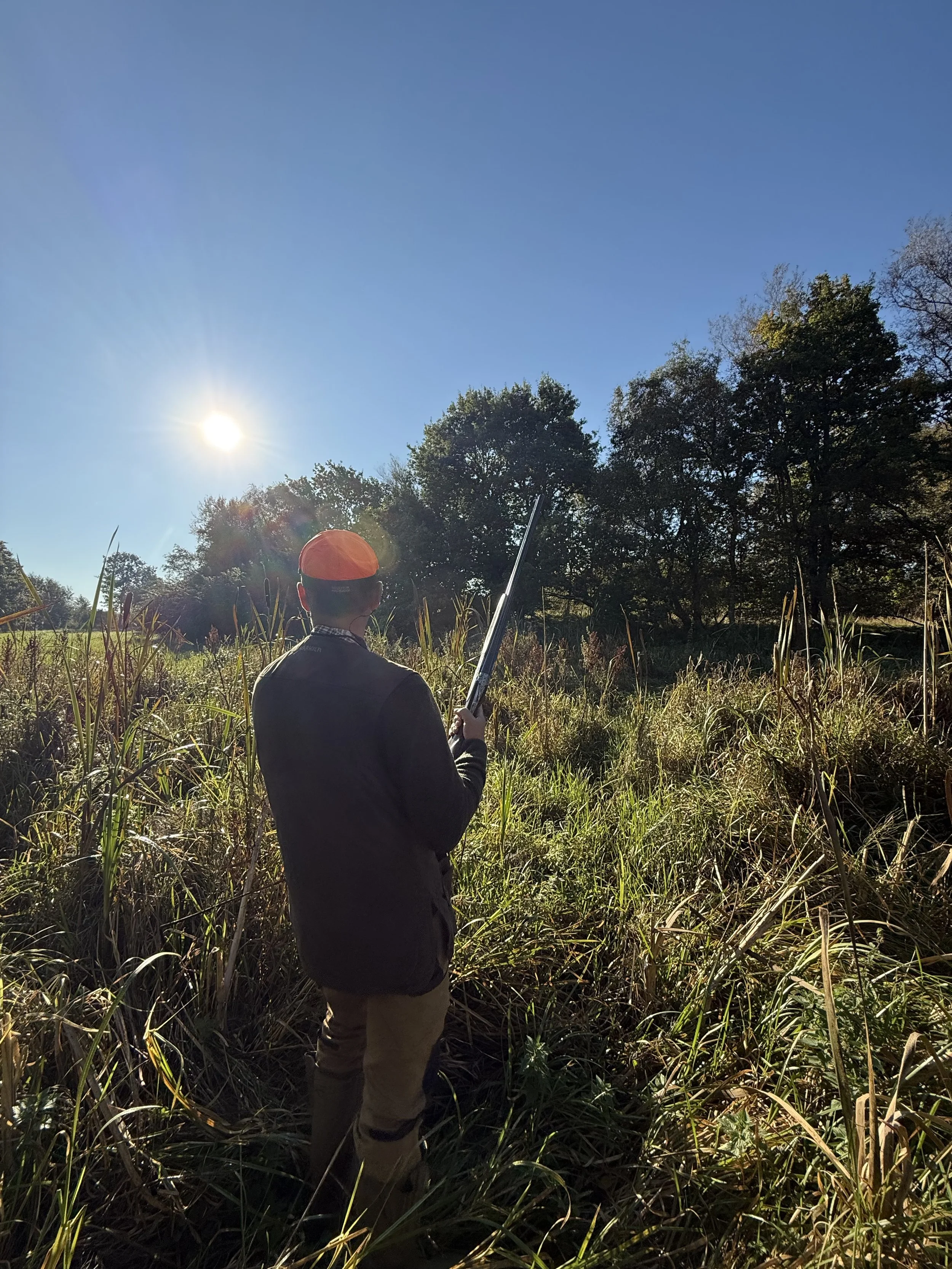 Person standing in a grassy field, holding a rifle, with trees and a clear blue sky in the background, and the sun shining overhead.