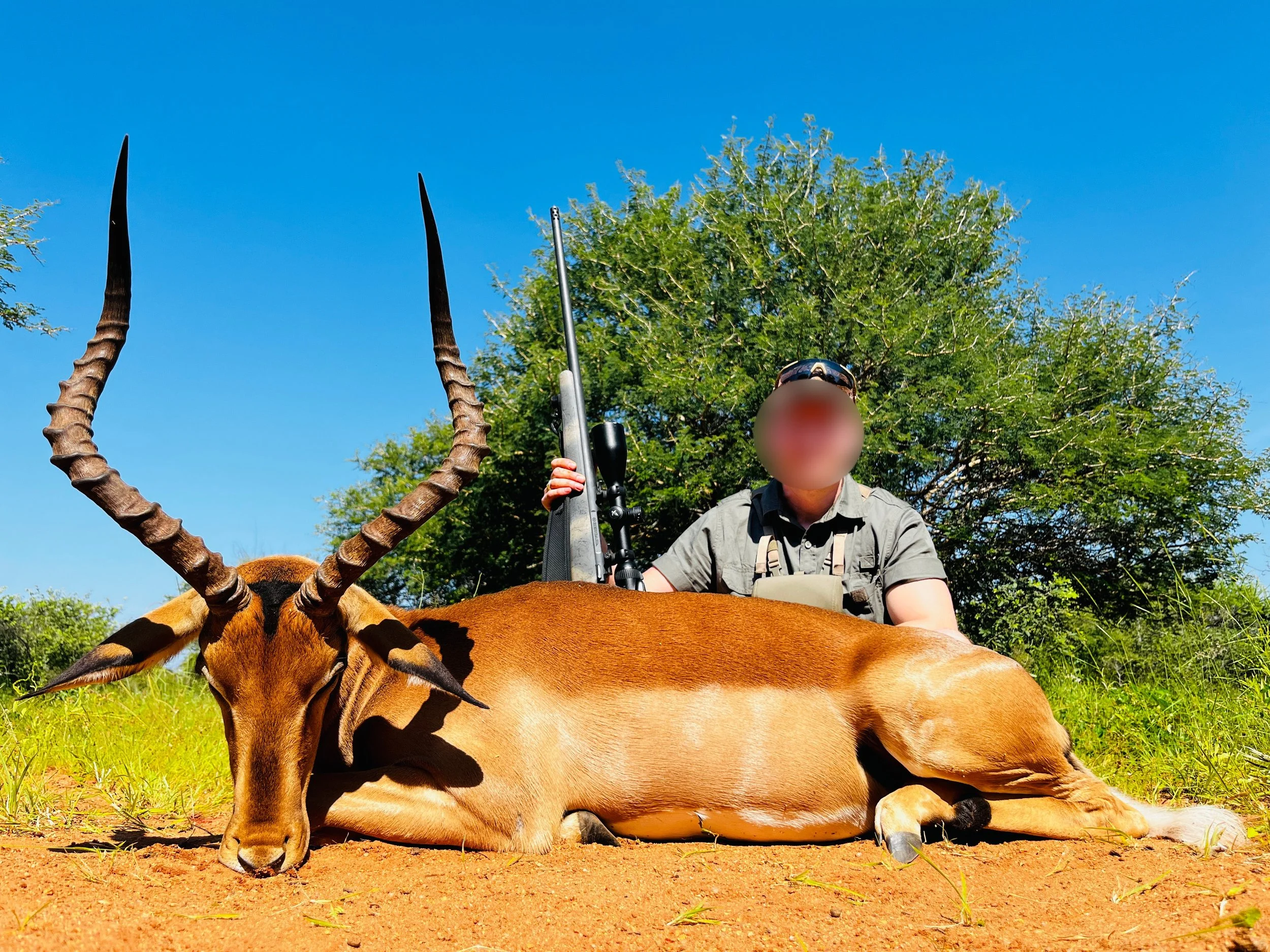 Hunter kneeling behind a large antelope with twisted horns, lying on sandy ground amid green grass and bushes, with a clear blue sky in the background.