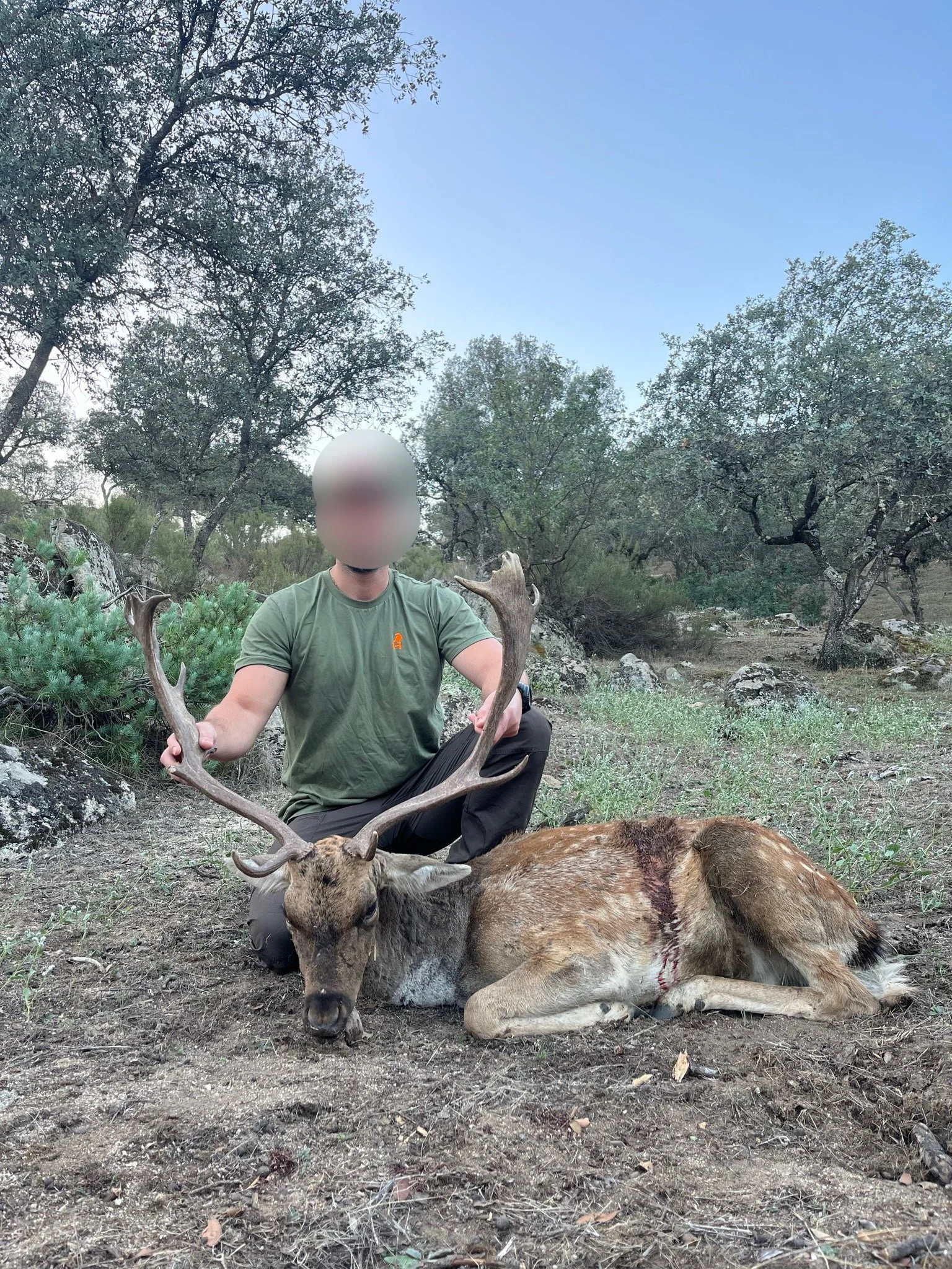A person kneeling next to a deceased deer with large antlers in a wooded outdoor area.