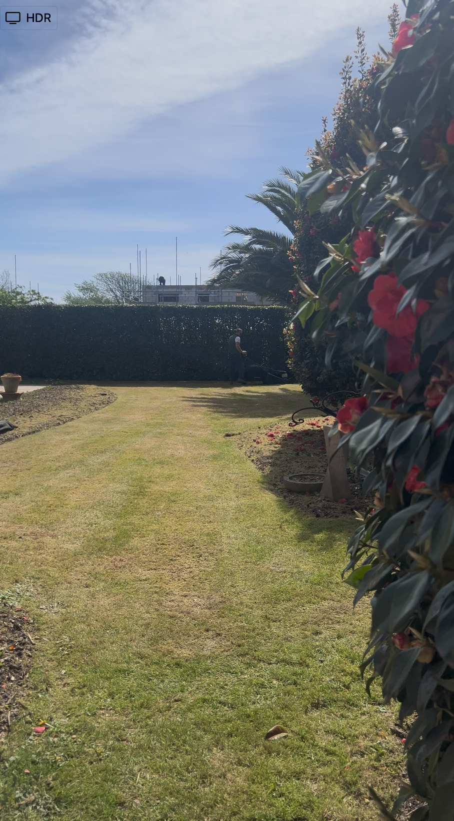 A backyard scene with a lawn, bushes, and trees. Someone is mowing the grass. The sky is partly cloudy.