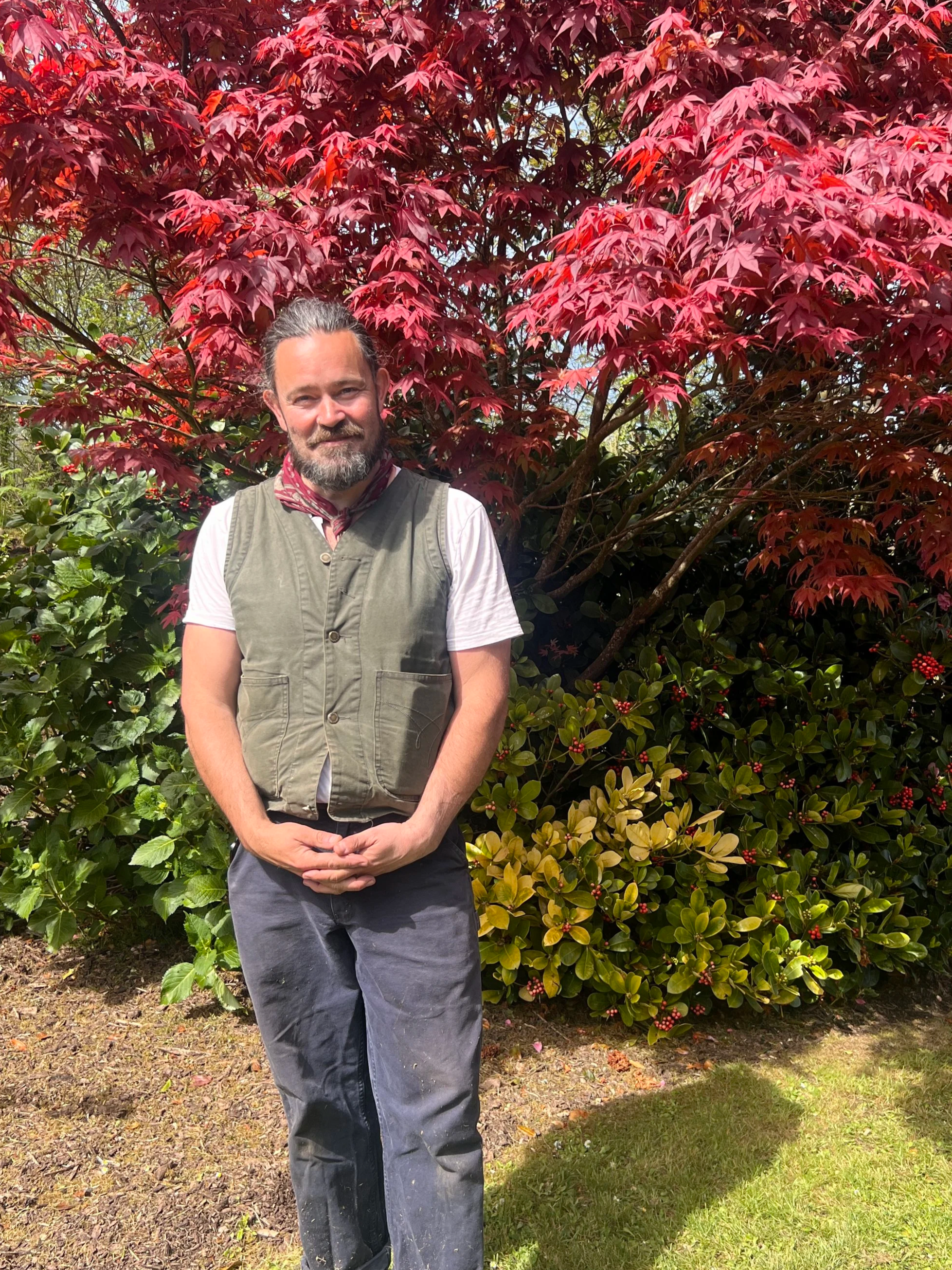 Gardener, Danny Parrack, wearing a white t-shirt, a gray vest, and gray pants standing outdoors in front of a large red-leafed tree and green bushes.