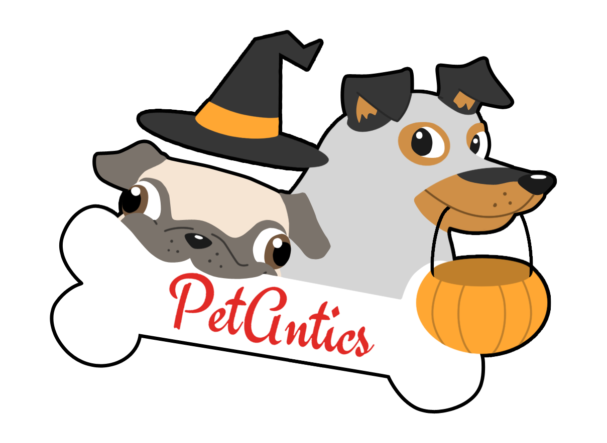 logo1 (HALLOWEEN)-A.png