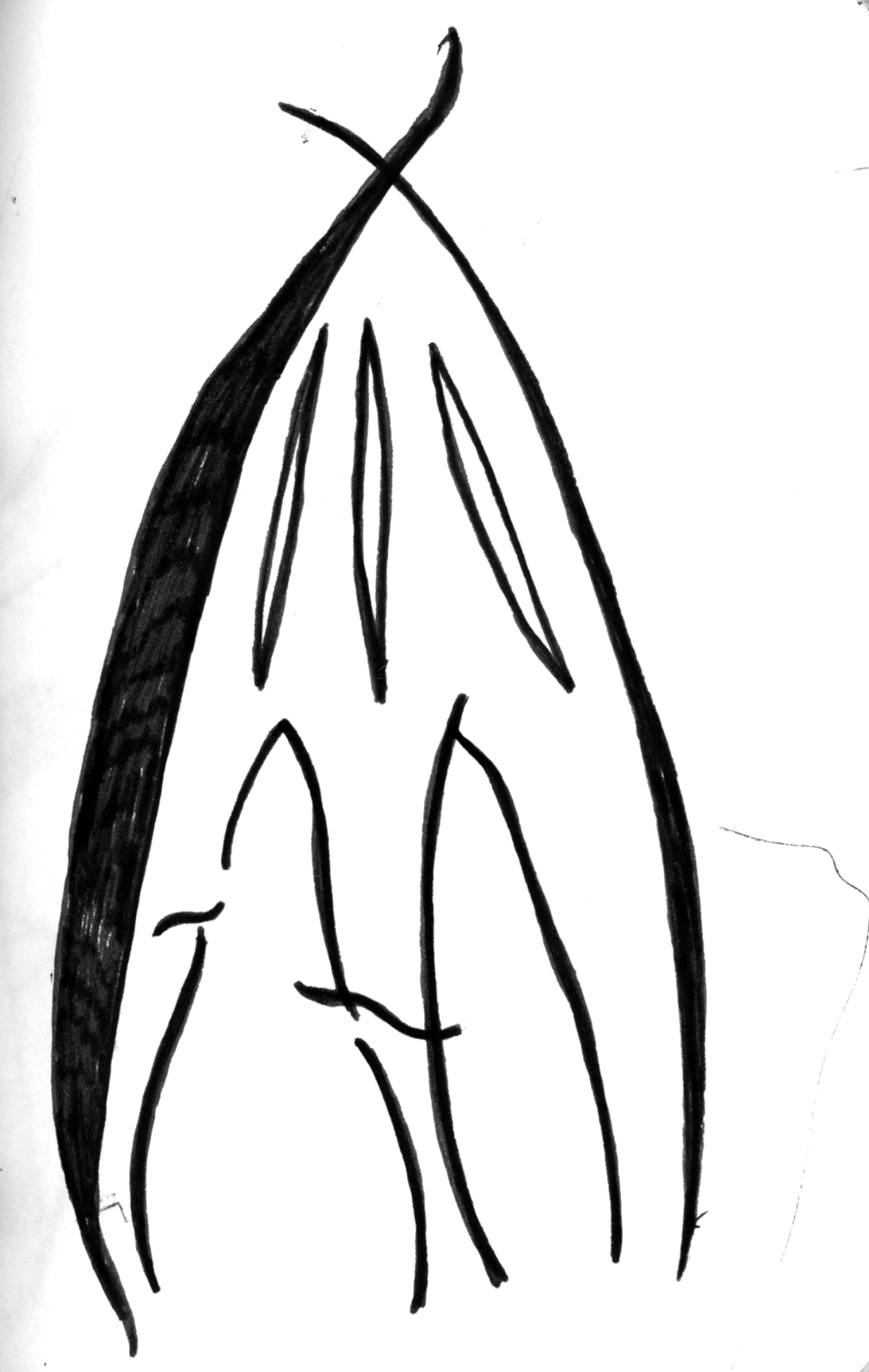 Screenshot 2026-05-04 alle 20.52.47.png